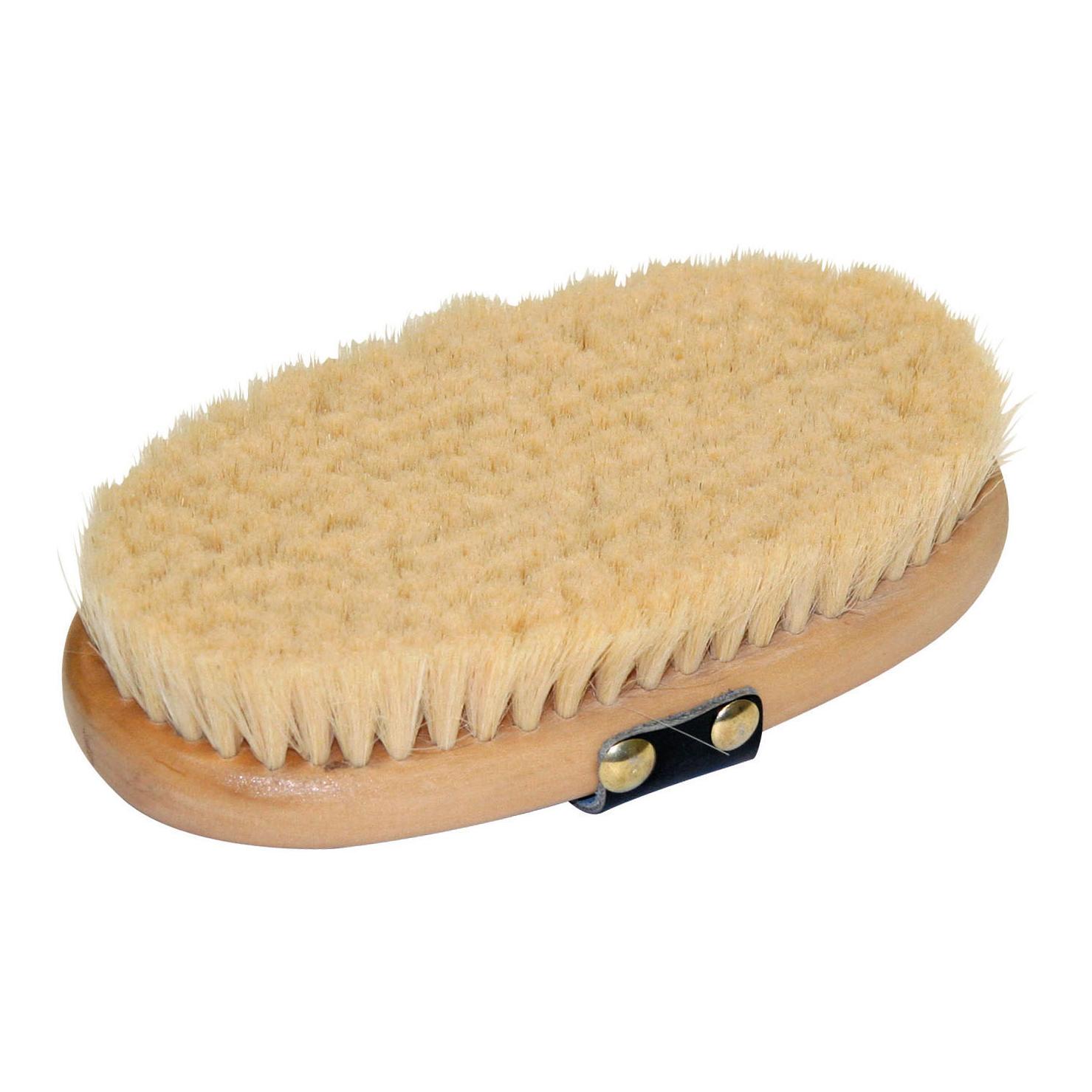 Kerbl Pferdekardätsche Brush&Co