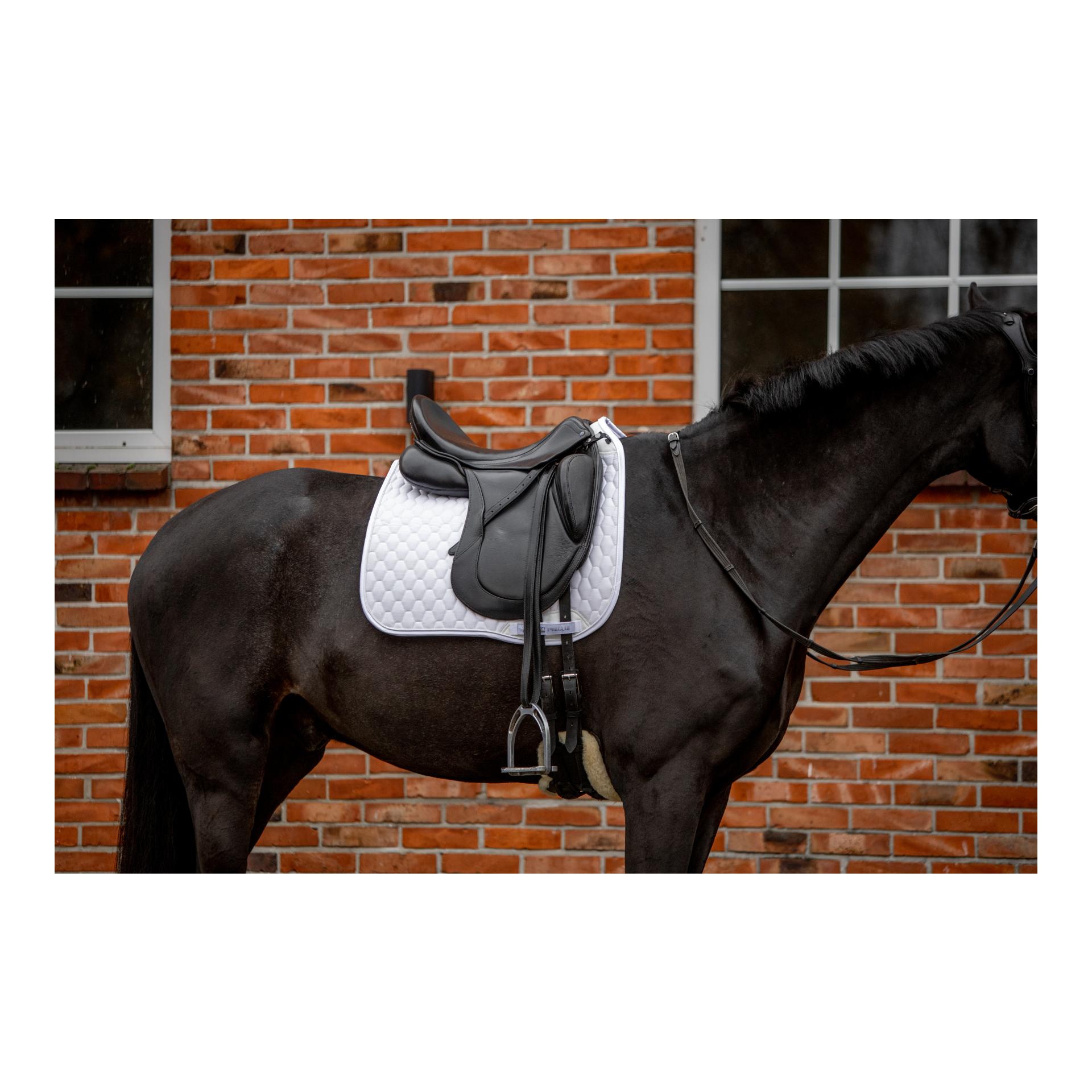 Stübben Chabraque de dressage Streamline GEN2