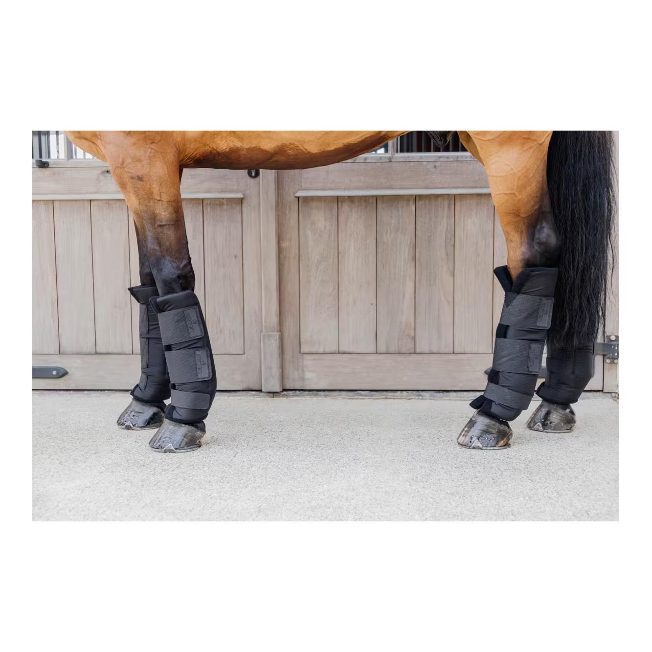 Kentucky Stallgamaschen PROtect classic hinten