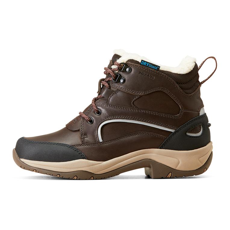Ariat Arbeitsschuh Telluride Winter Waterproof Damen