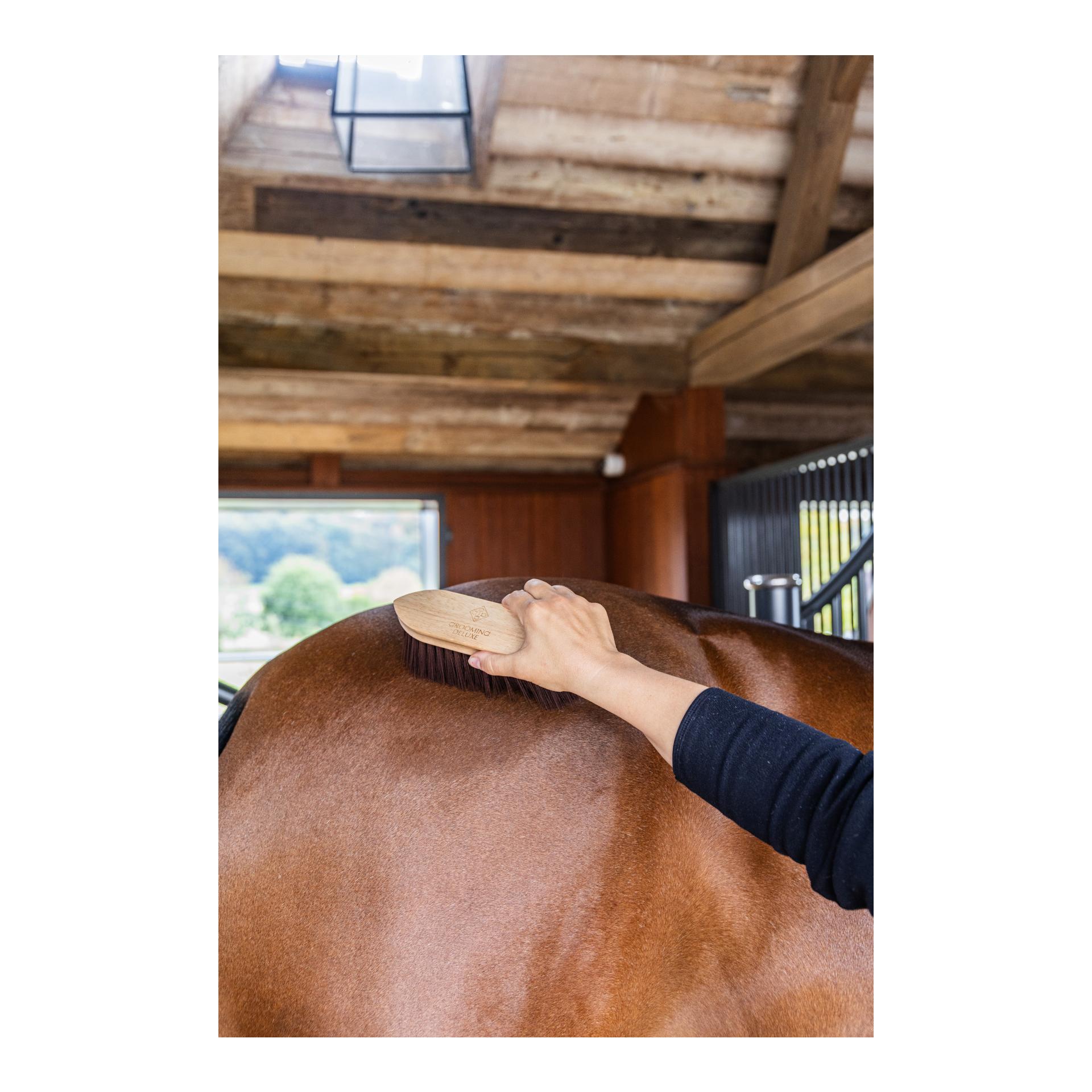 Grooming Deluxe Klassische Holzborstel mittel hart