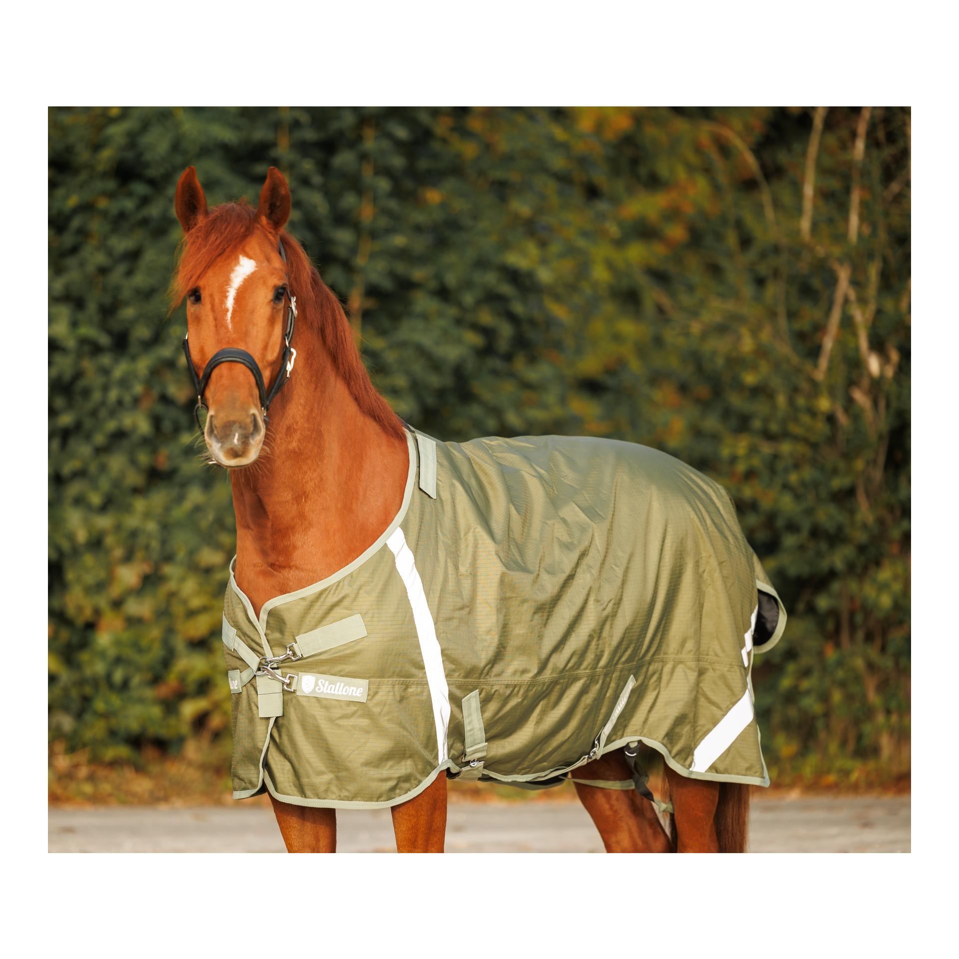 Stallone Weidedecke 50 g Outdoor Guard