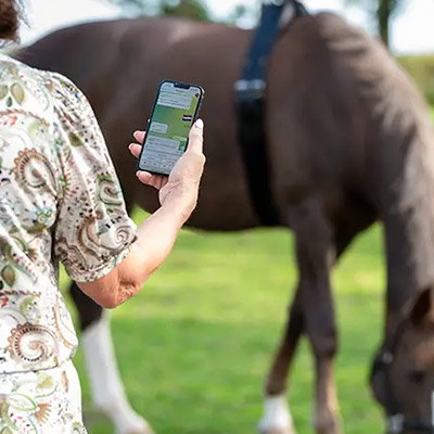 RS-Thema-Smart_Horse