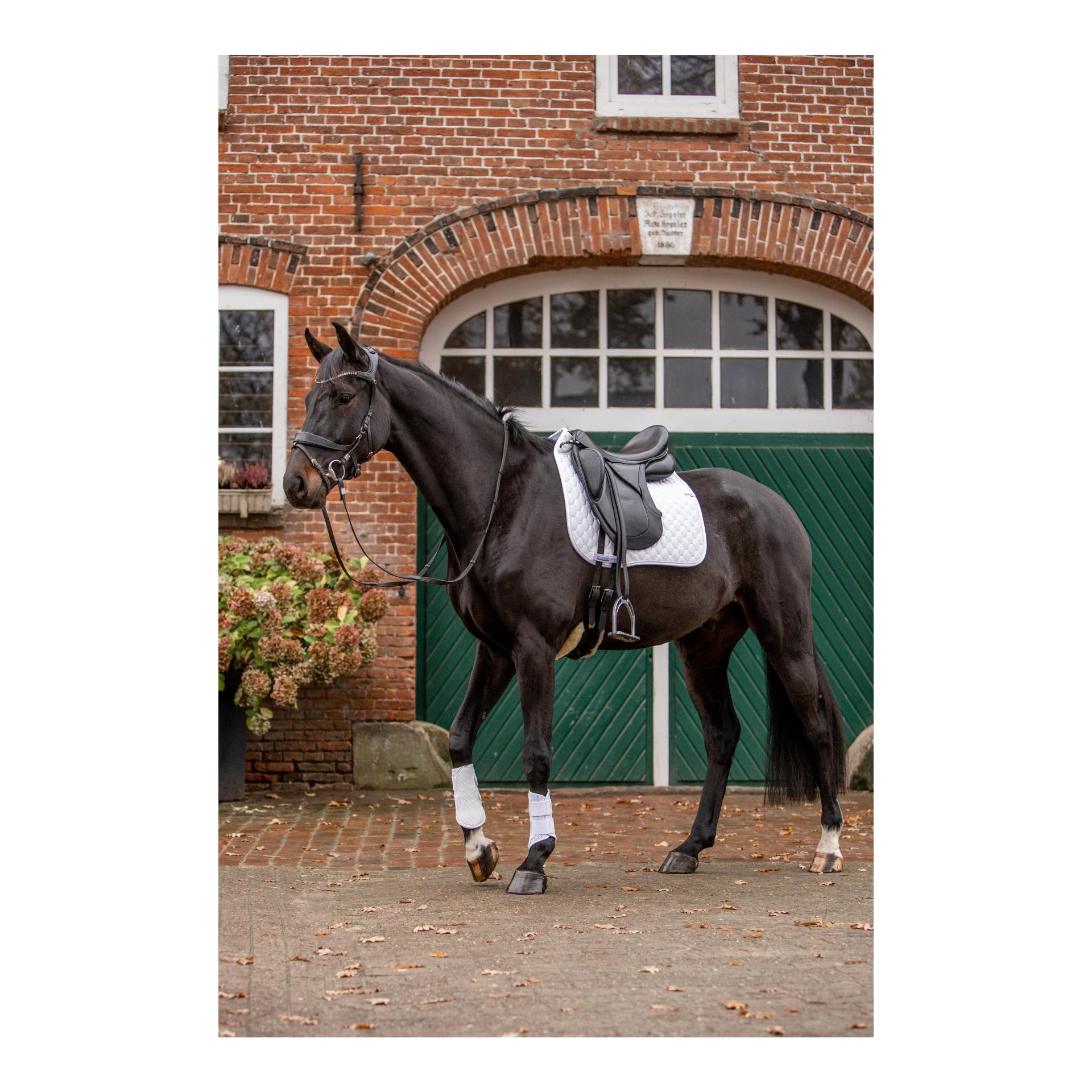 Stübben Chabraque de dressage Streamline GEN2