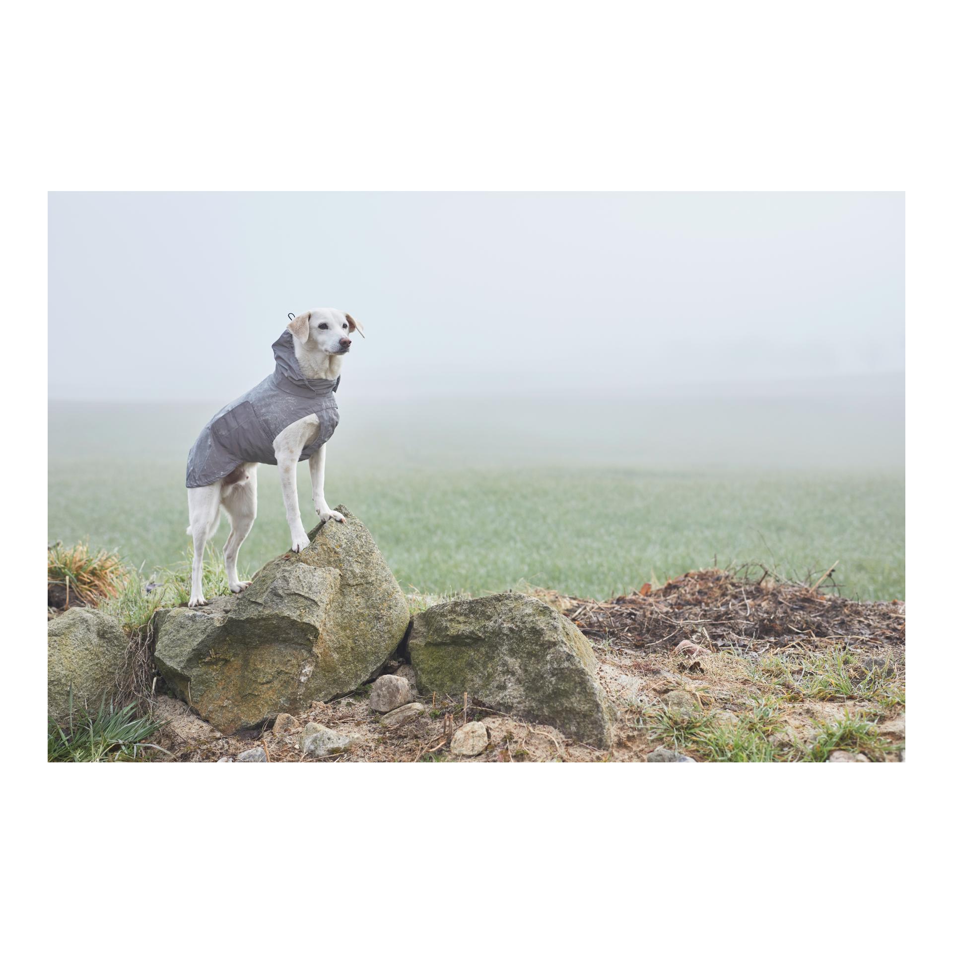 Cloud 7 Imperméable pour chiens Berlin - reflective