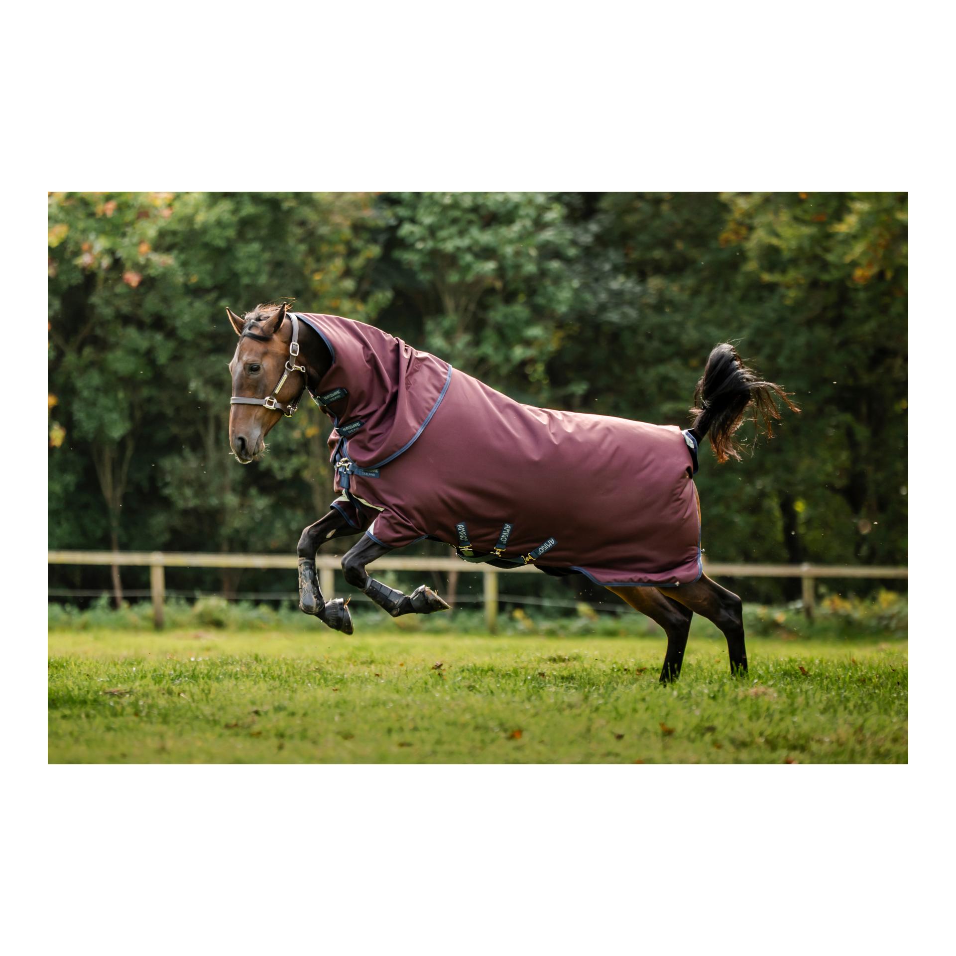 Horseware Weidedecke Amigo 1200D Plus Turnout 100g