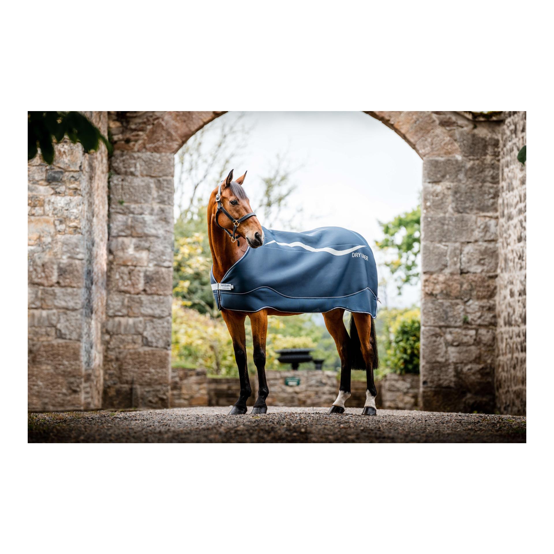 Horseware Abschwitzdecke Dry Liner - navy/silver