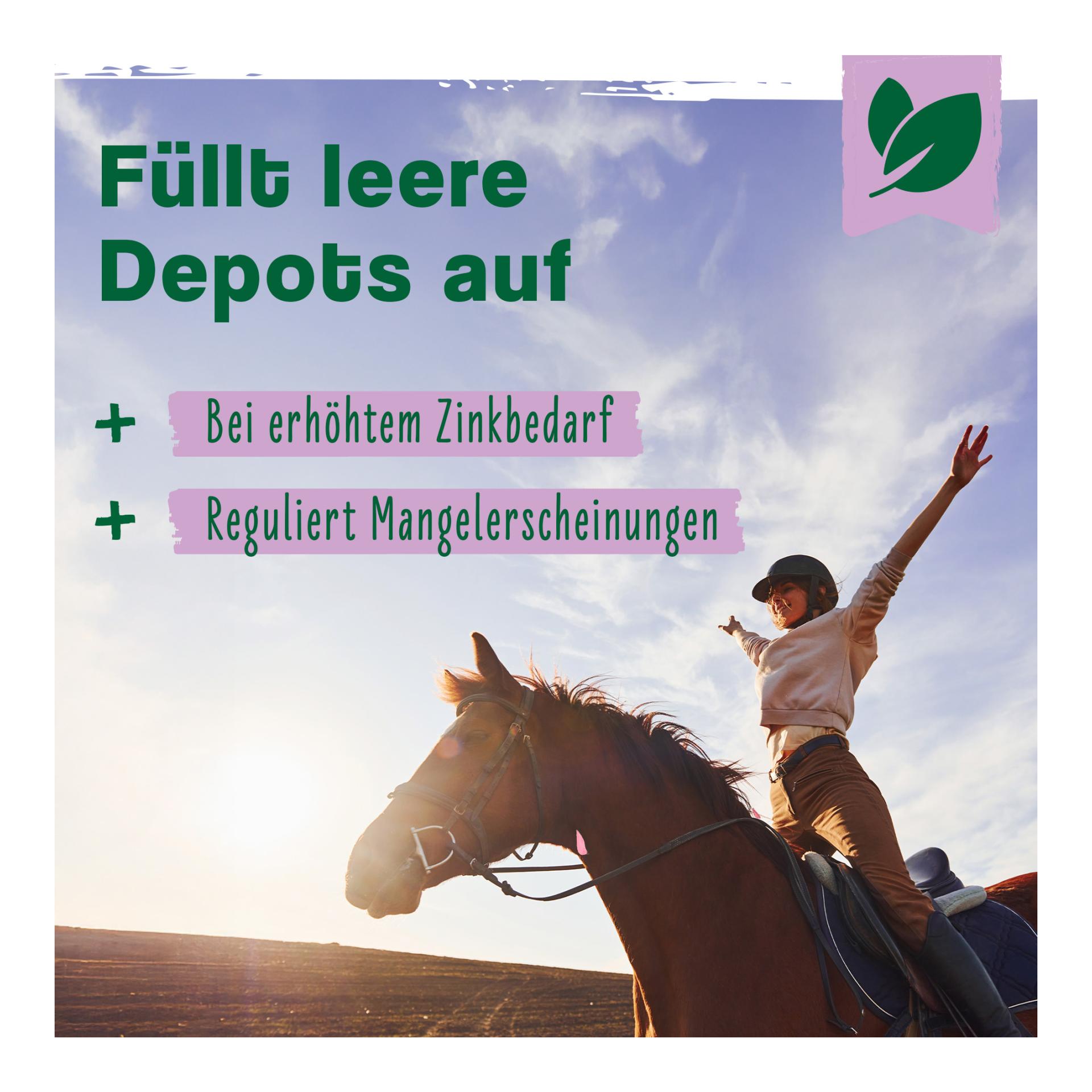 IdaPlus Biotine + zinc pour chevaux - hautement dosé - améliore la qualité et la croissance des sabots