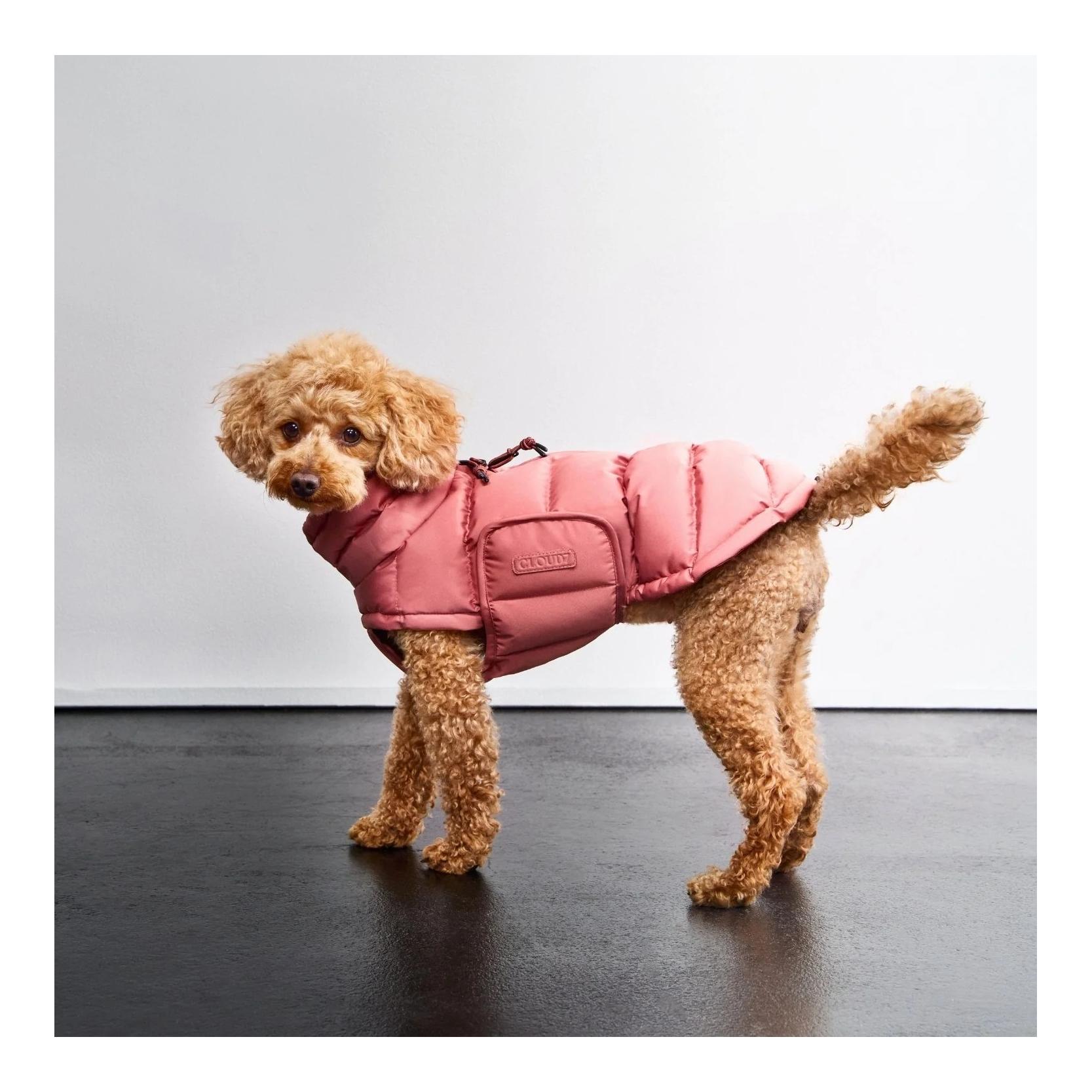 Cloud 7 Manteau d'hiver pour chien Alaska Regular