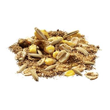 Pavo Pferdefutter SlobberMash