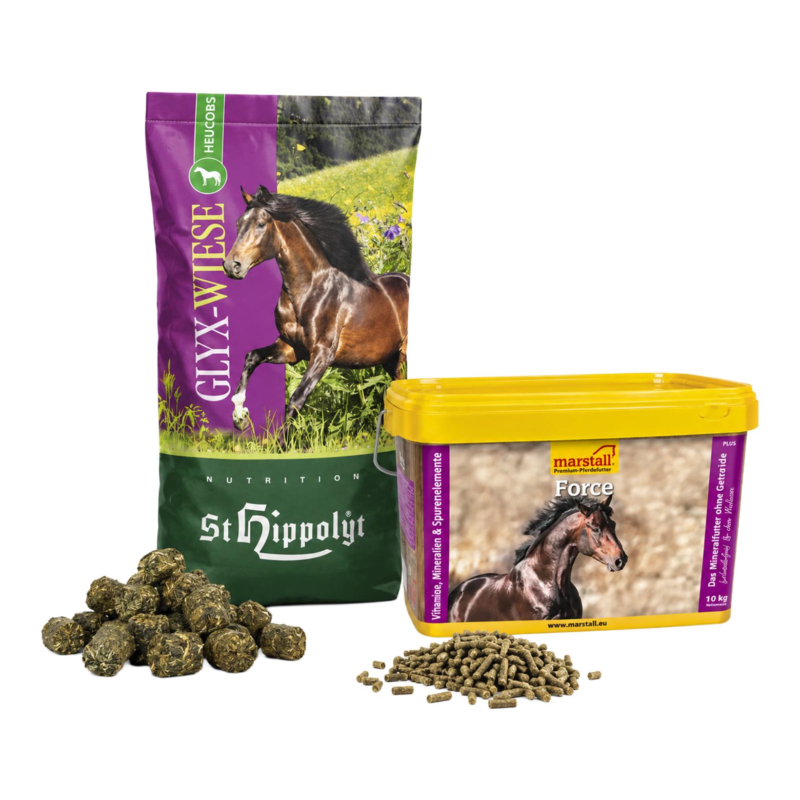 St. Hippolyt Dürre-Raufutter & Mineral-Depot / Glyx-Wiese Heucobs+Force, Multivital-Konzentrat