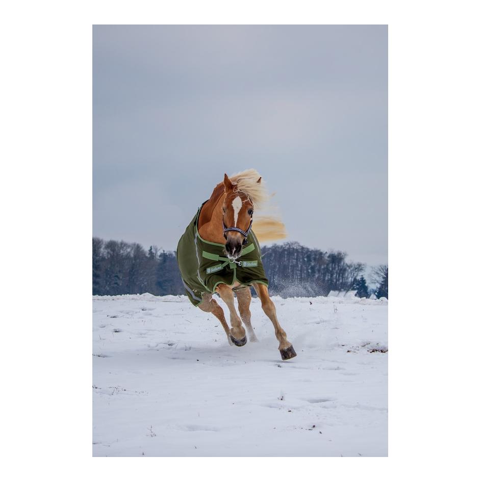 Stallone Couverture 300 g d'hiver Outdoor Guard