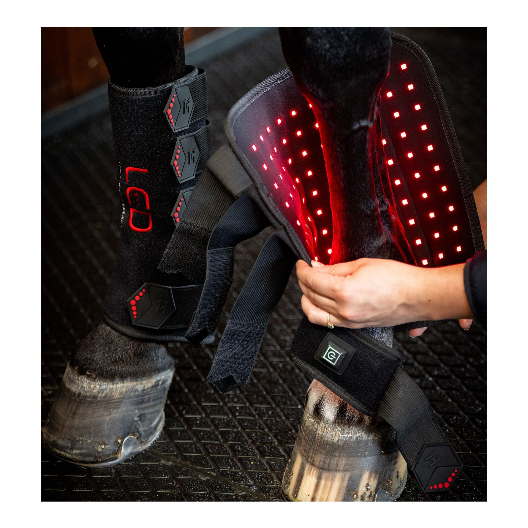 Horseware Therapie Gamasche LED LED-Rotlicht - Full