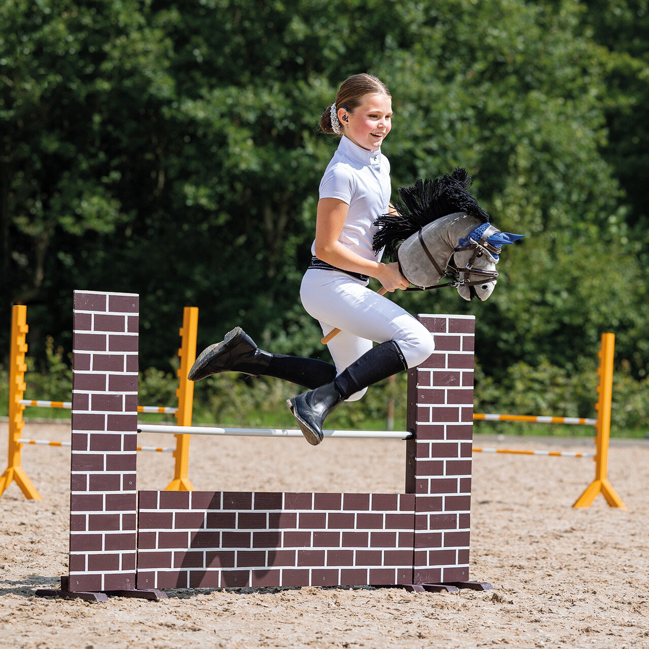QHP Hobby Horse
