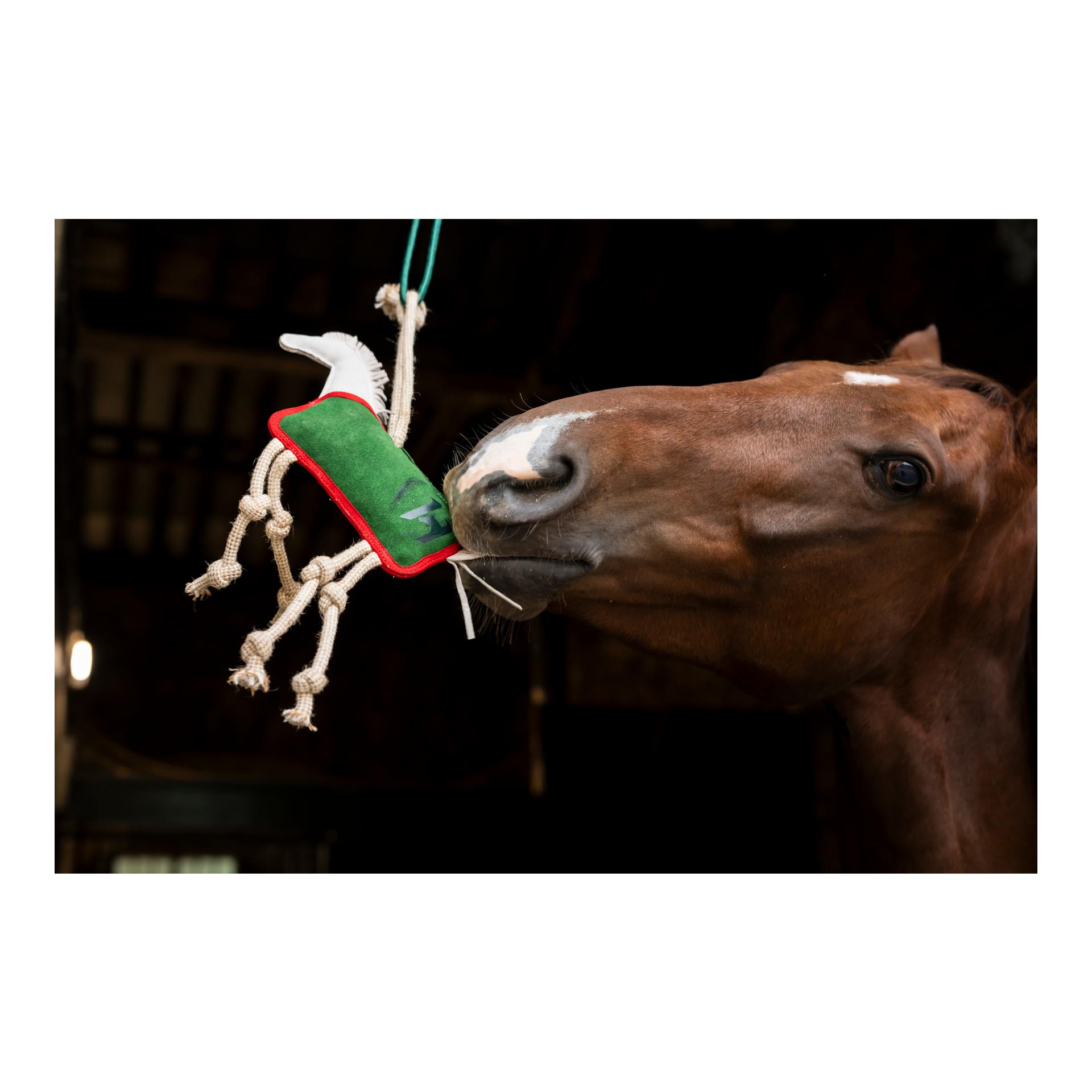 Horseware Jouets pour chevaux