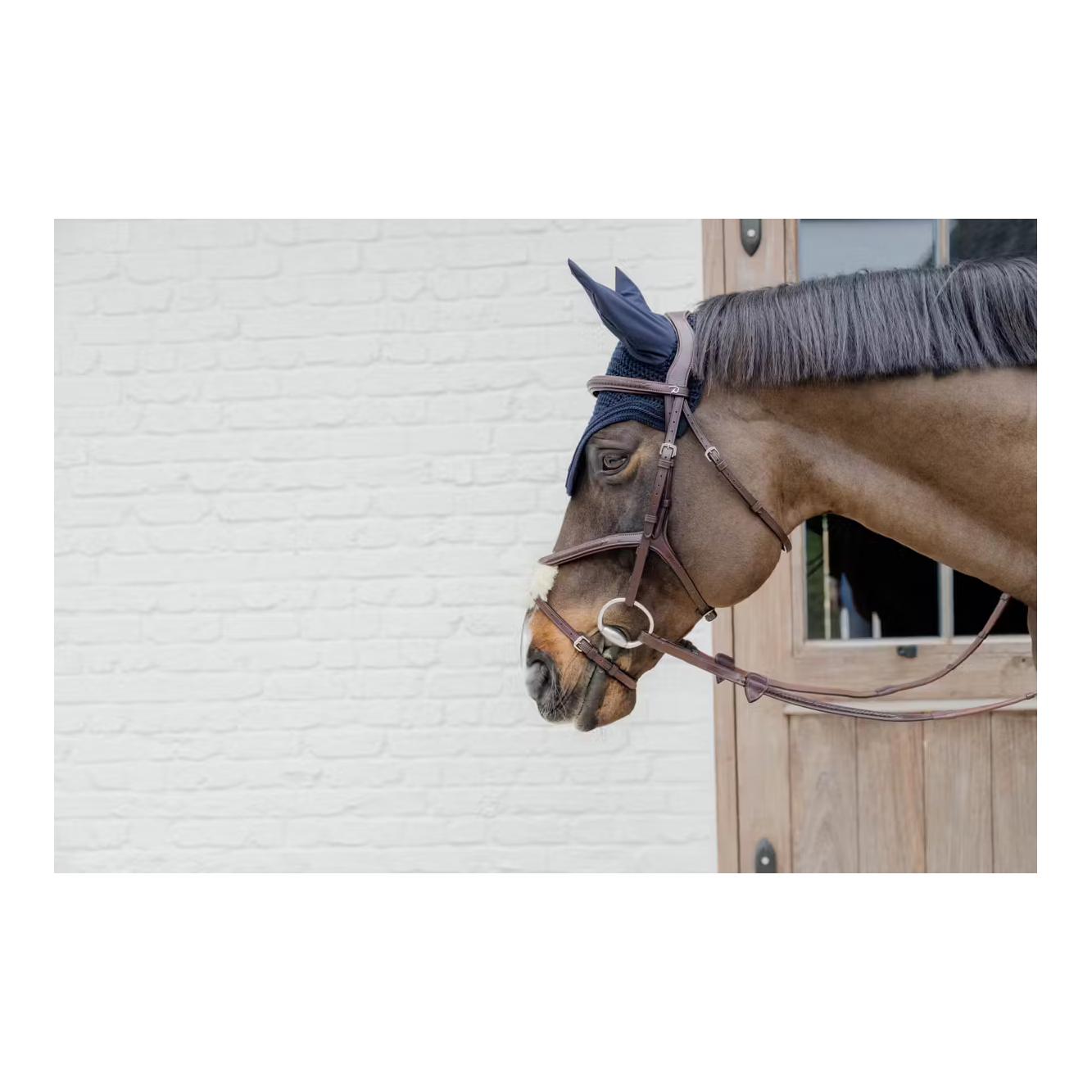 Dy'on Zaum mit geflochtenen mexikanischem Reithalfter