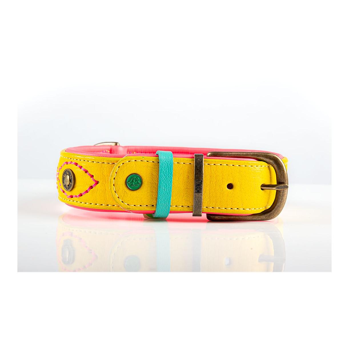 Jessy Hundehalsband
