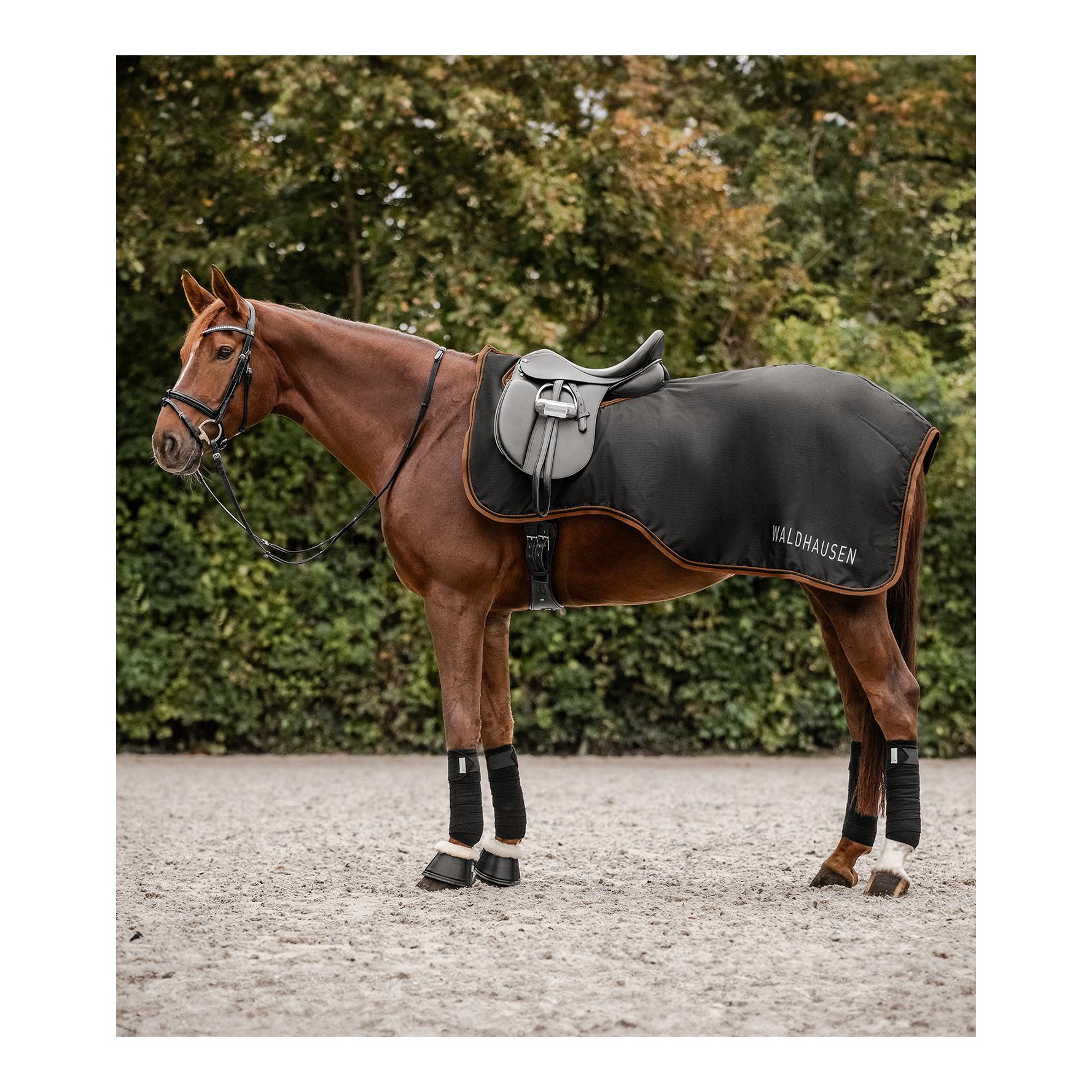 Waldhausen Regen Ausreitdecke Perth 50g