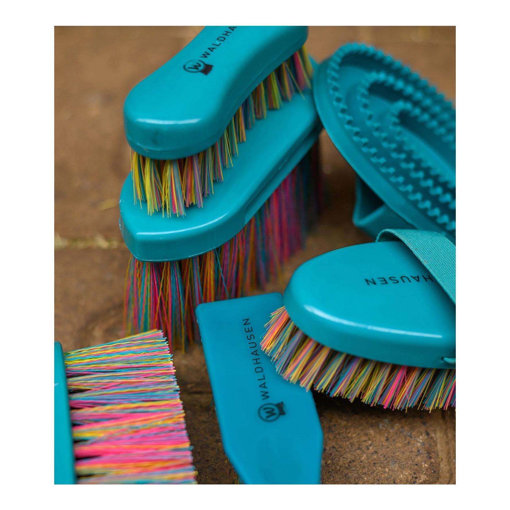 Waldhausen Kardätsche Rainbow
