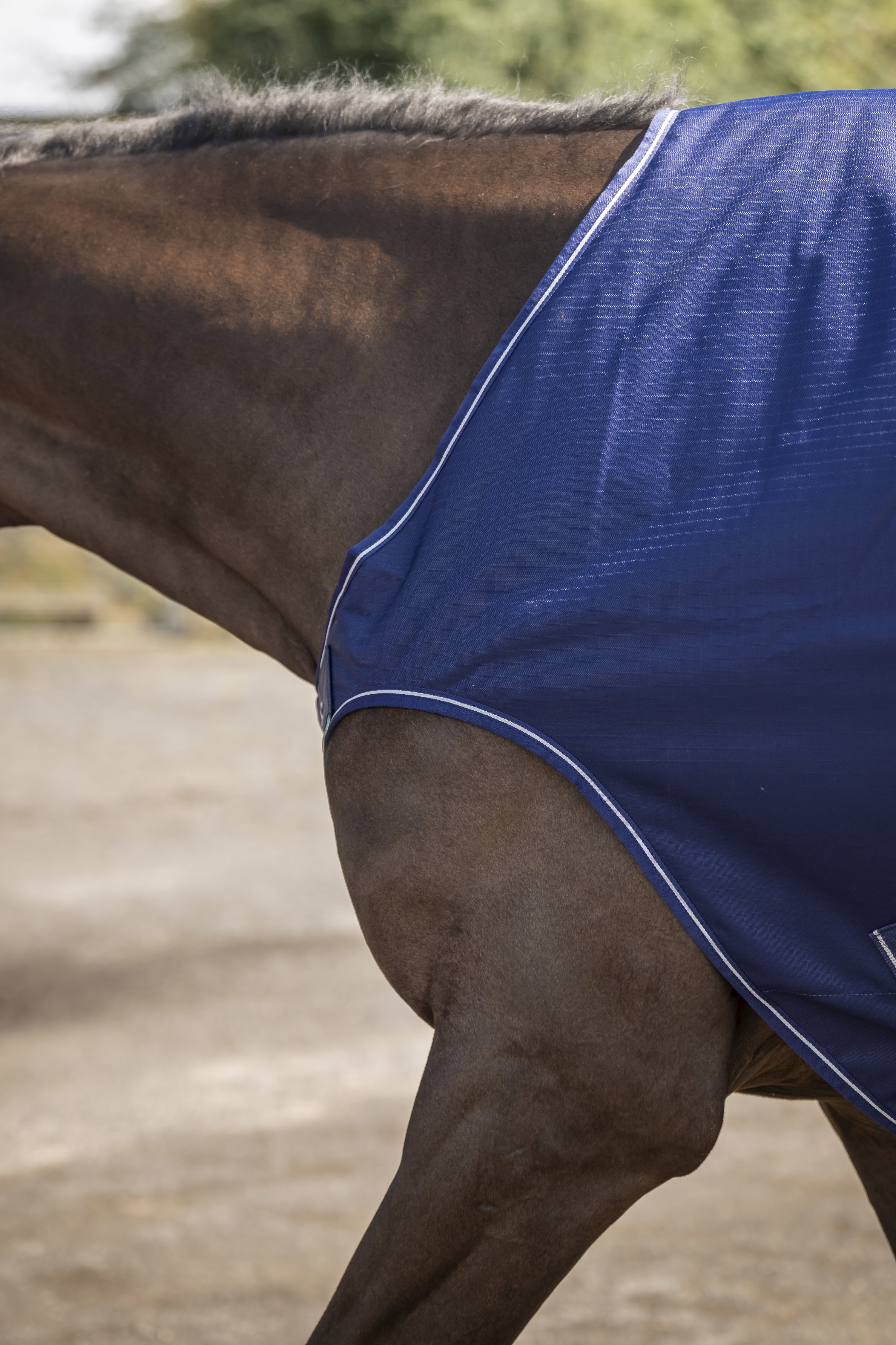 Bucas Walkerdecke - navy