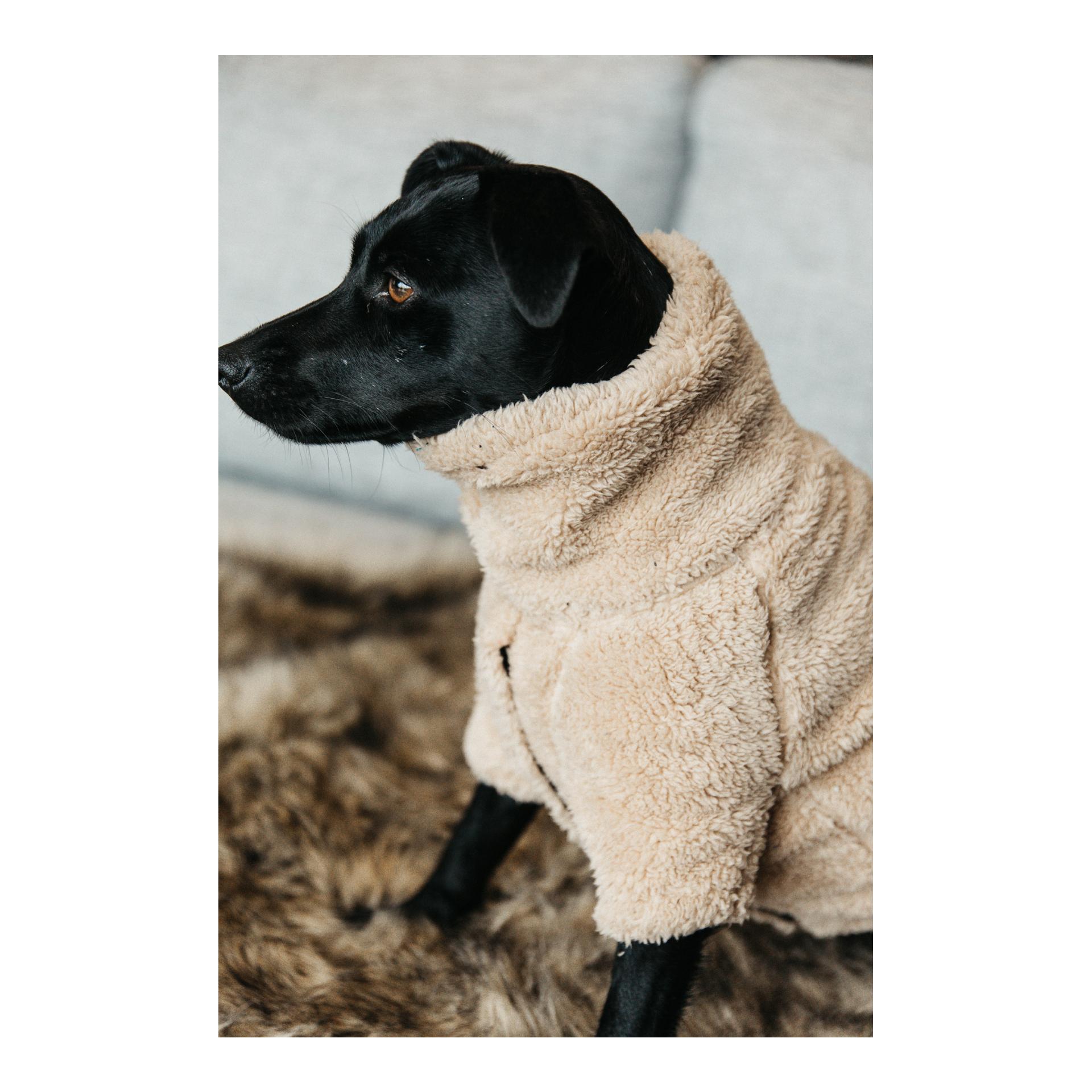 Kentucky Dogwear Pull pour chien Teddy Fleece - beige