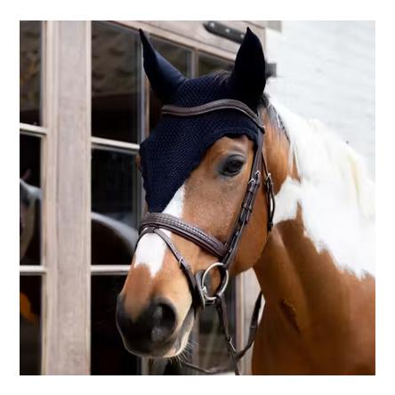 Kentucky Fliegenhaube lang