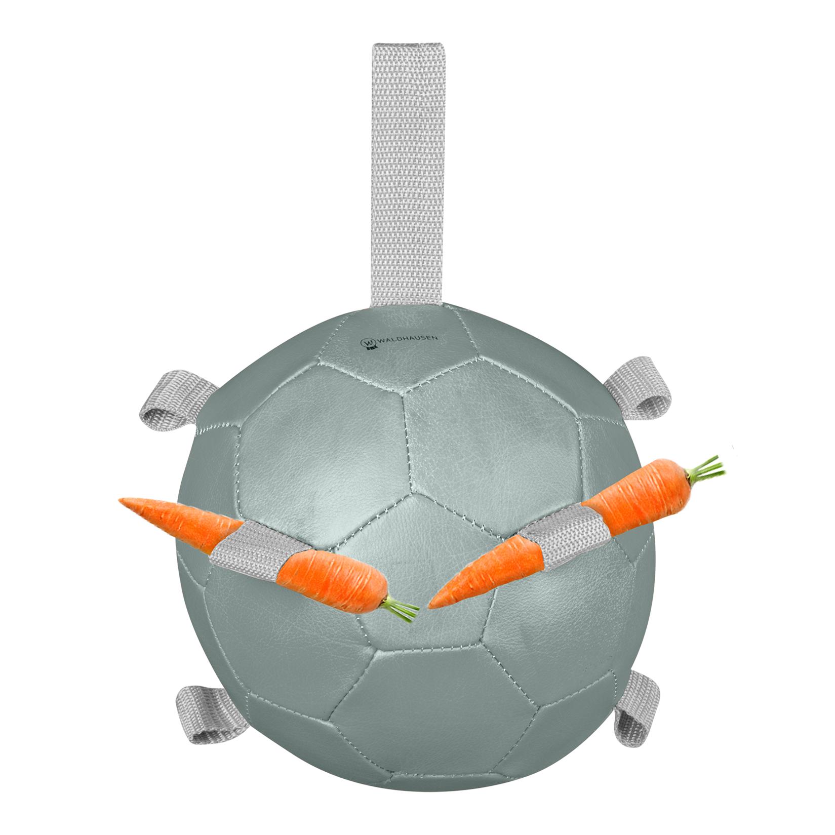 Waldhausen Karottenball