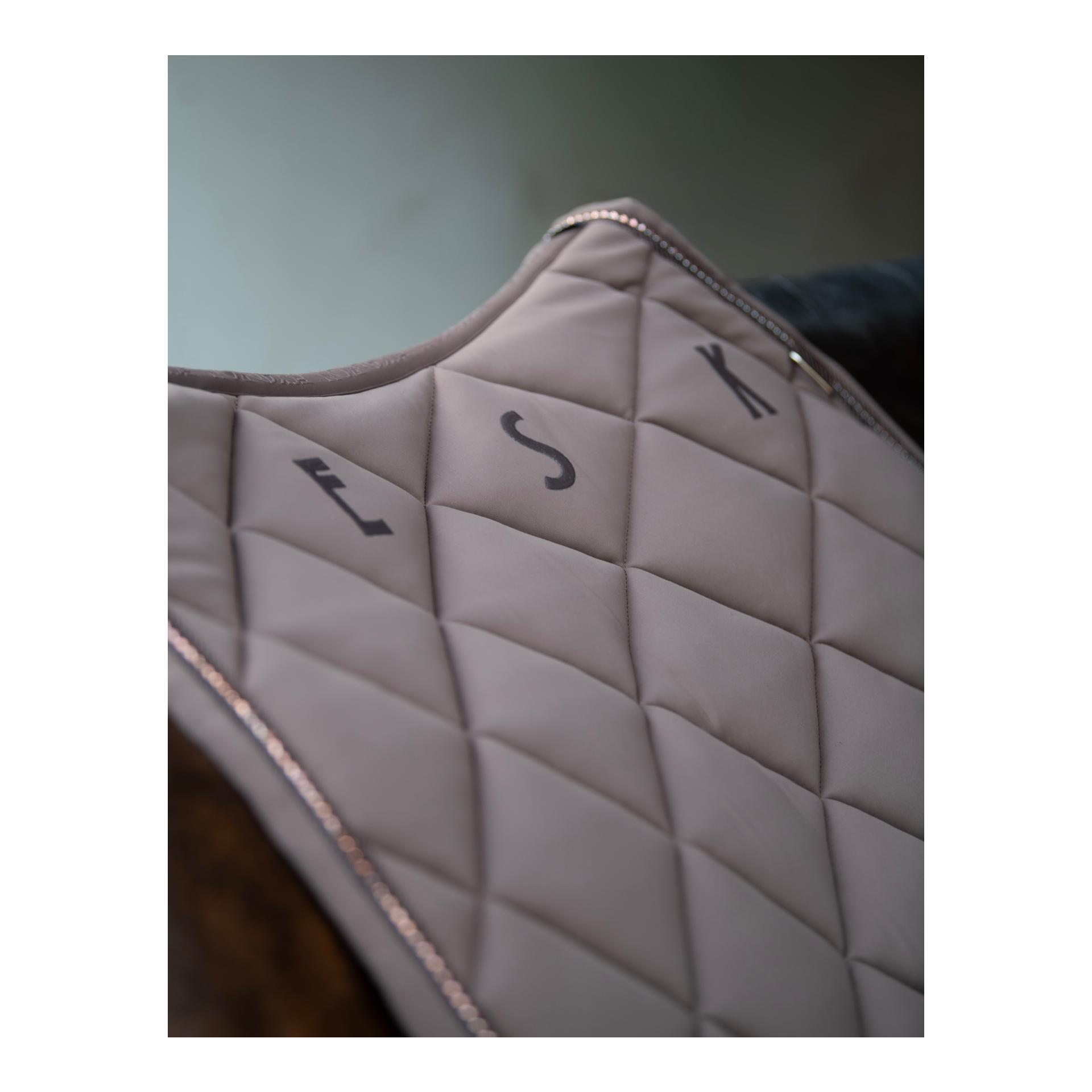 Eskadron Chabraque Pro Soft