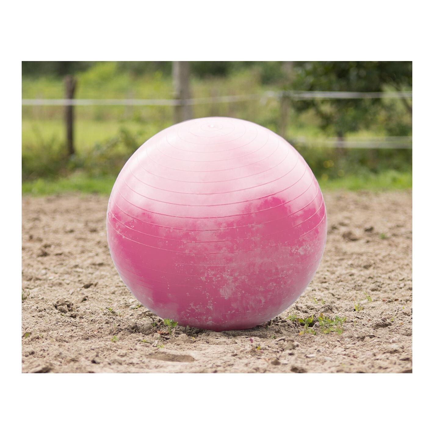 QHP Balle pour chevaux - bleu
