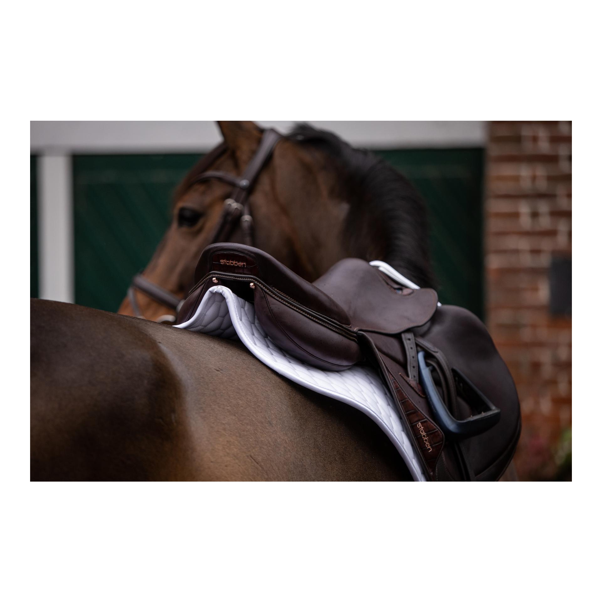 Stübben Chabraque Streamline Cross Country GEN2