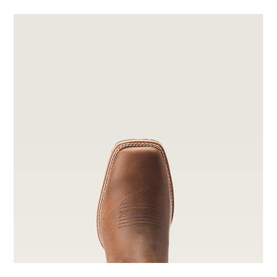 Ariat Westernboot Low Wide Square Toe Chelsea Herren