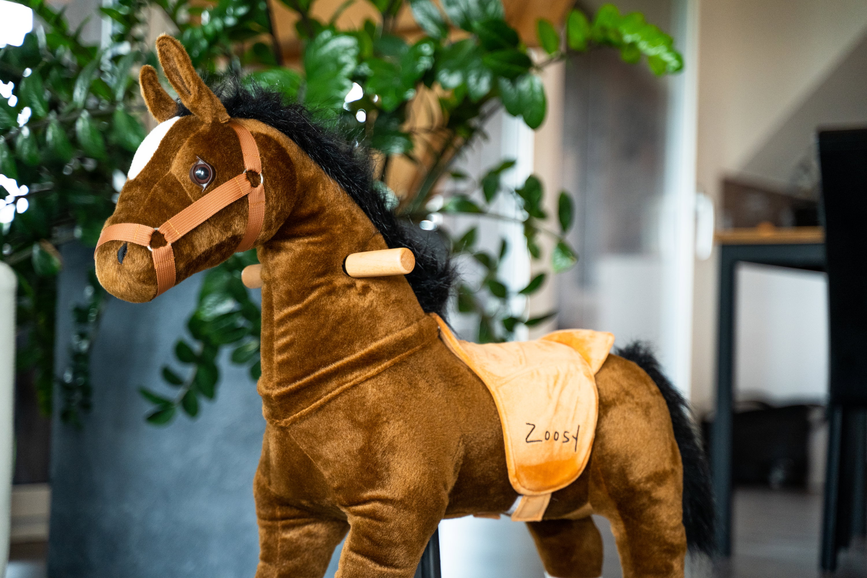 Zoosy Raidony Pferd