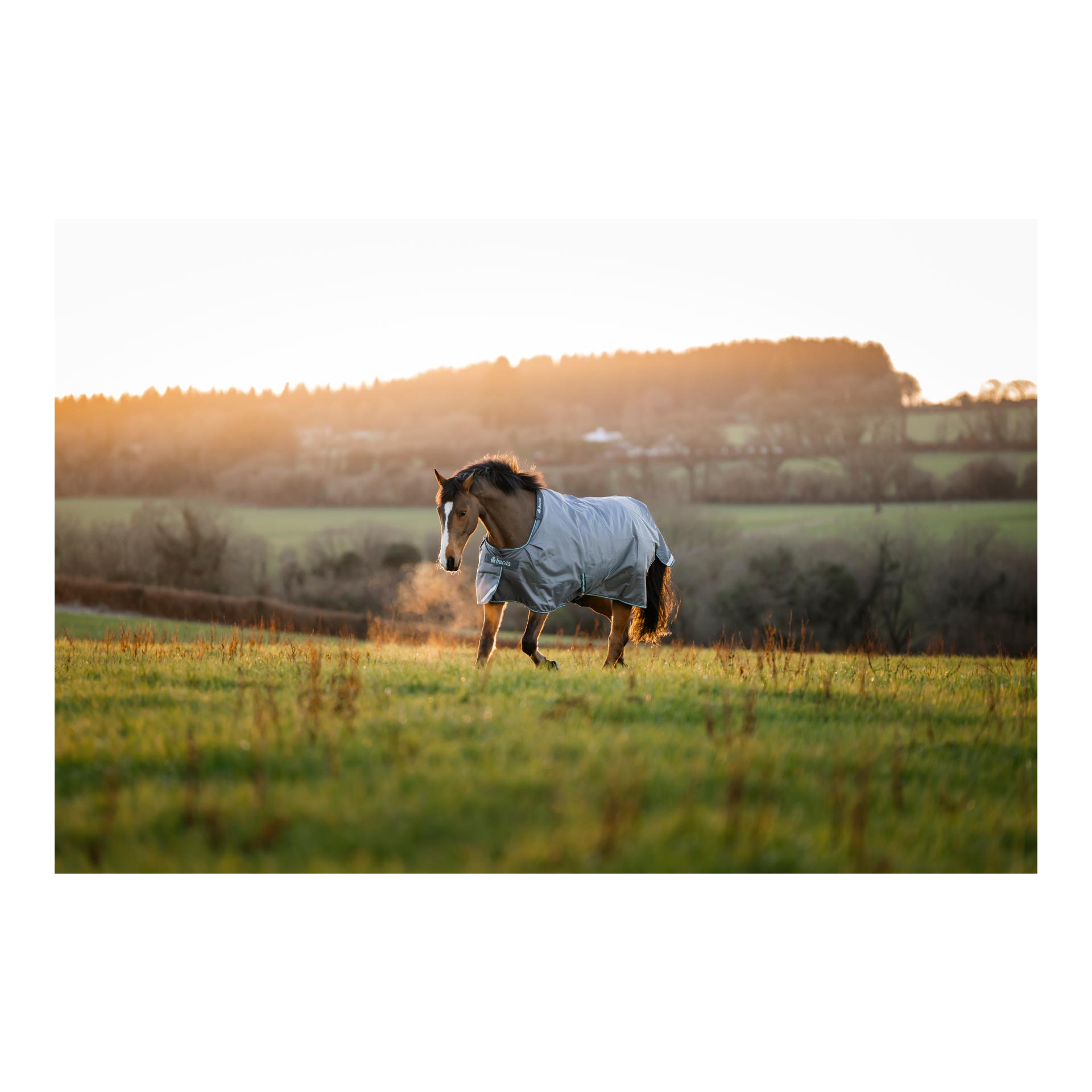 Bucas Couverture d'extérieur Smartex Medium 150g