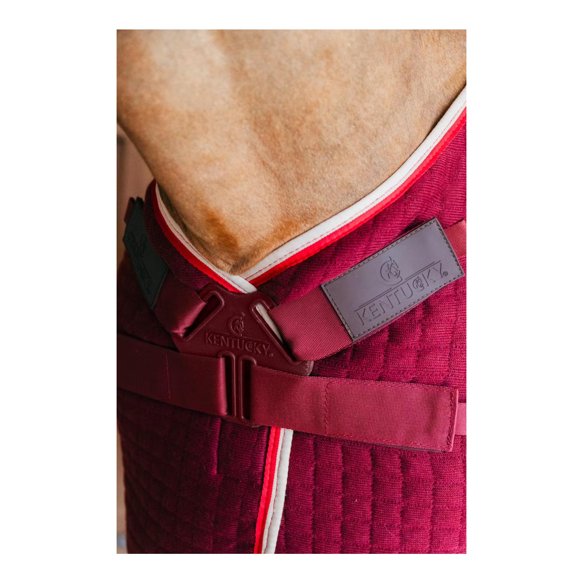 Kentucky Abschwitzdecke PROtherm