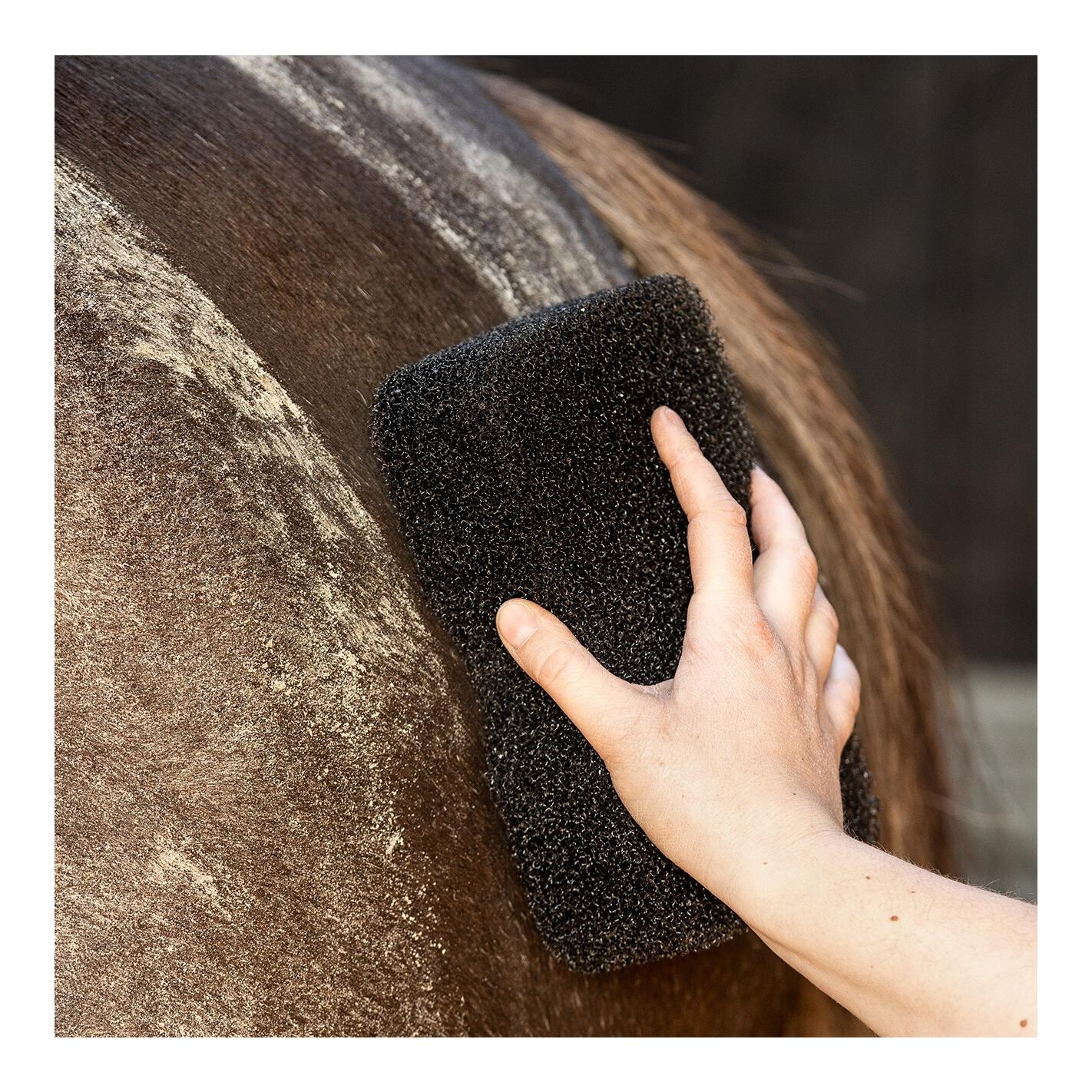 QHP Equi Super Shiner - Pferdeschwamm zur Fellreinigung