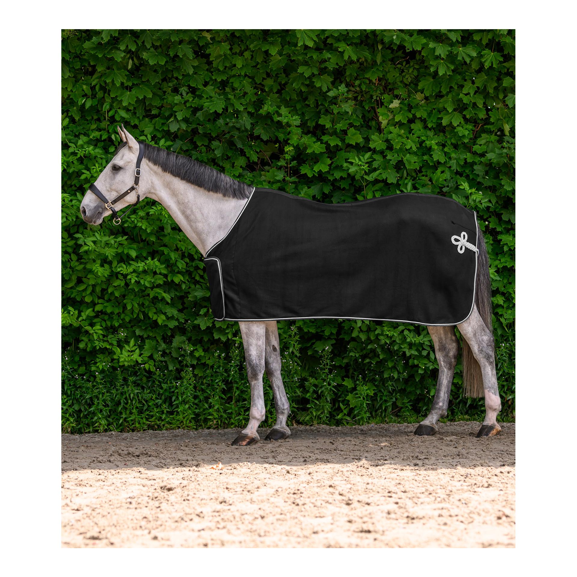Waldhausen ECONOMIC Fleece Schwarz