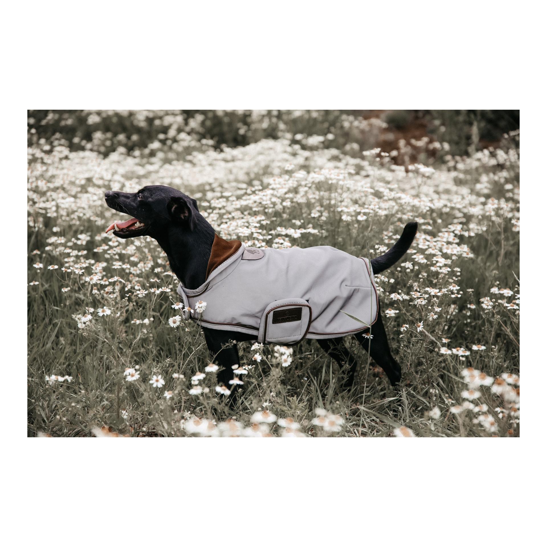Kentucky Dogwear Hundemantel reflektierend & wasserabweisend