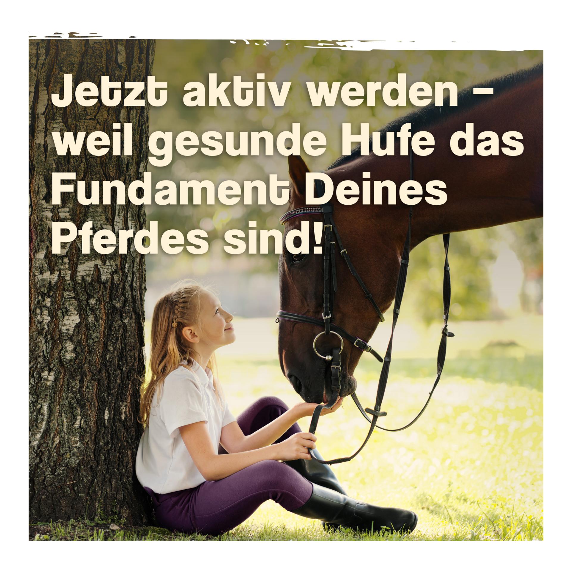 IdaPlus Biotine + zinc pour chevaux - hautement dosé - améliore la qualité et la croissance des sabots