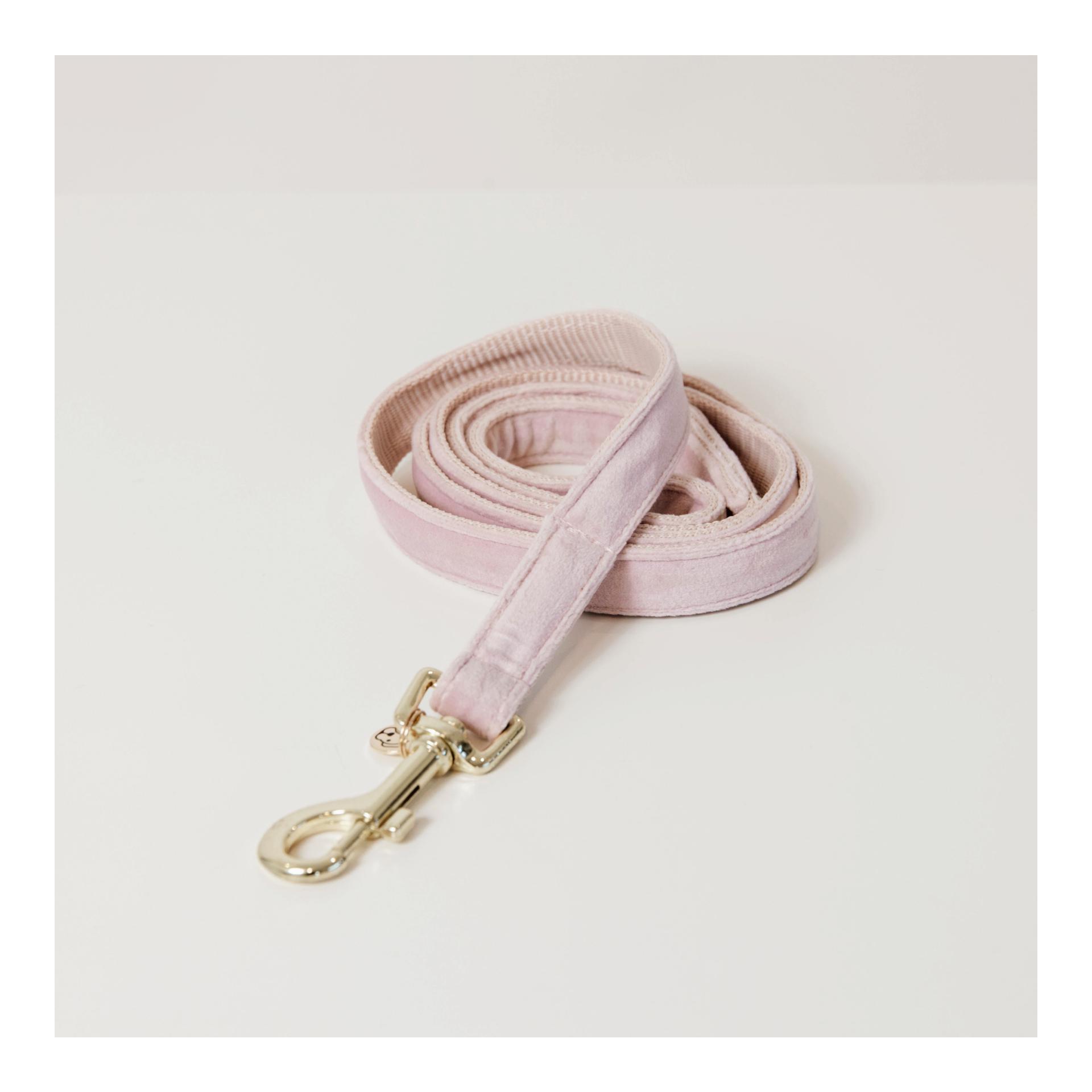 Kentucky Dogwear Laisse pour chien Velvet