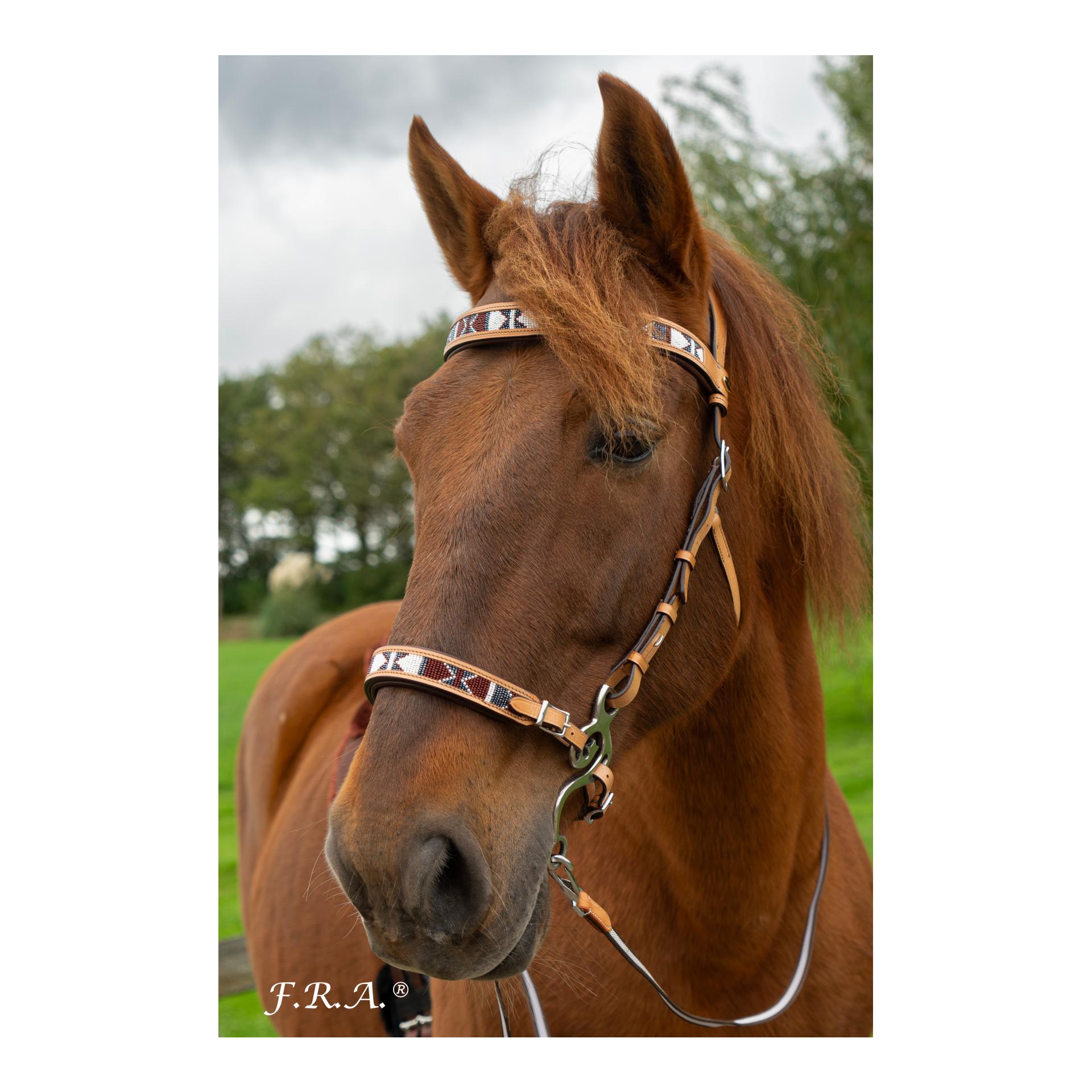 F.R.A Western Hackamore esprit