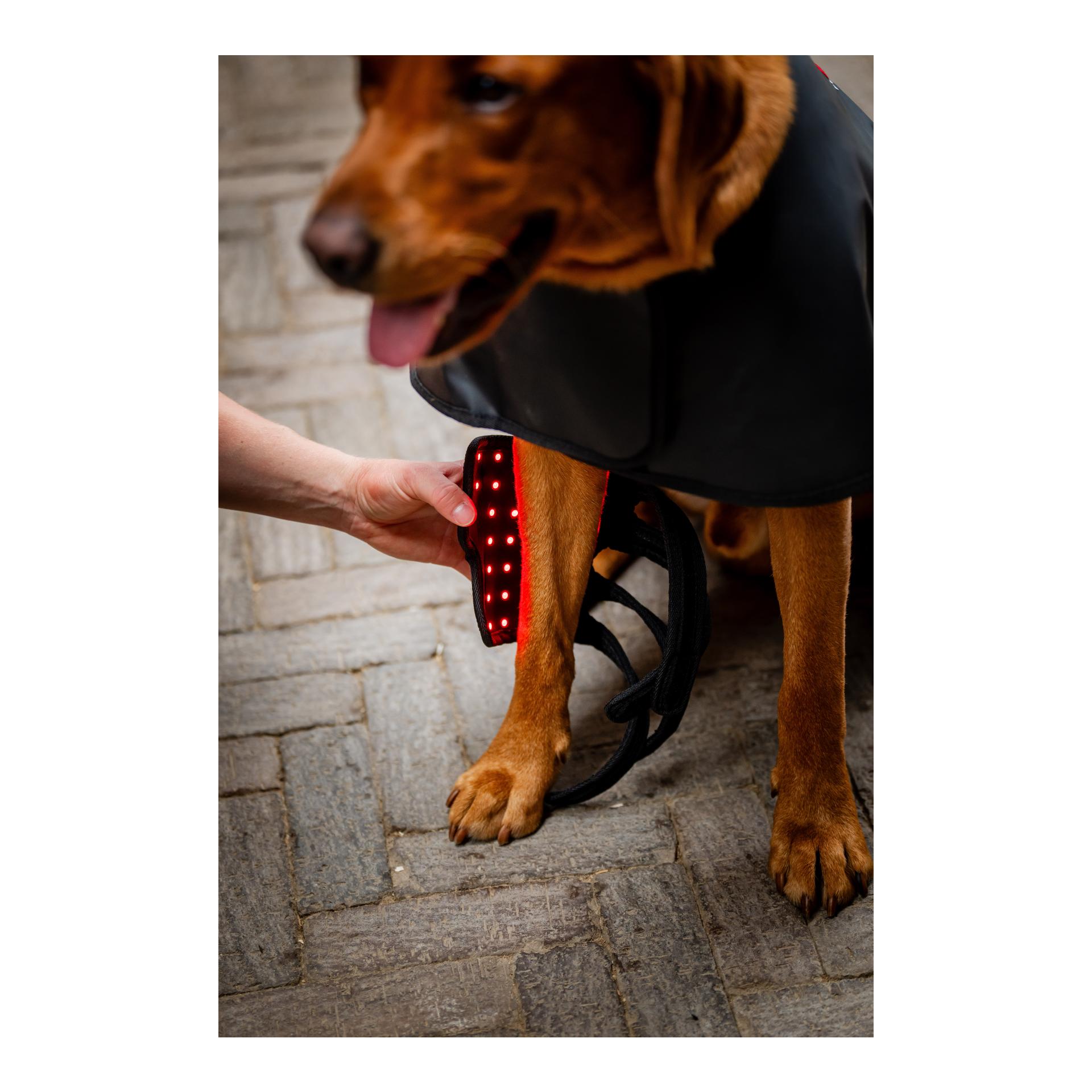 Horseware Horseware LED Red Light Therapy
Pet Leg Wraps Pair