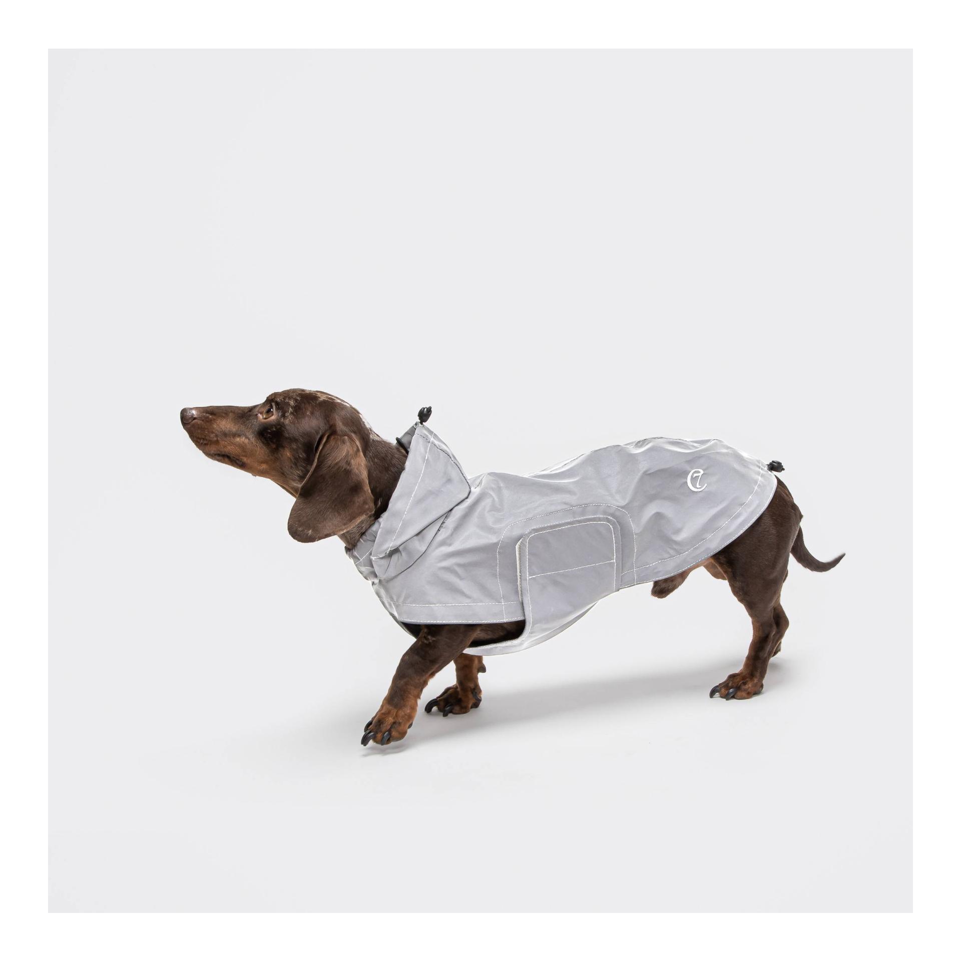 Cloud 7 Imperméable pour chiens Berlin - reflective