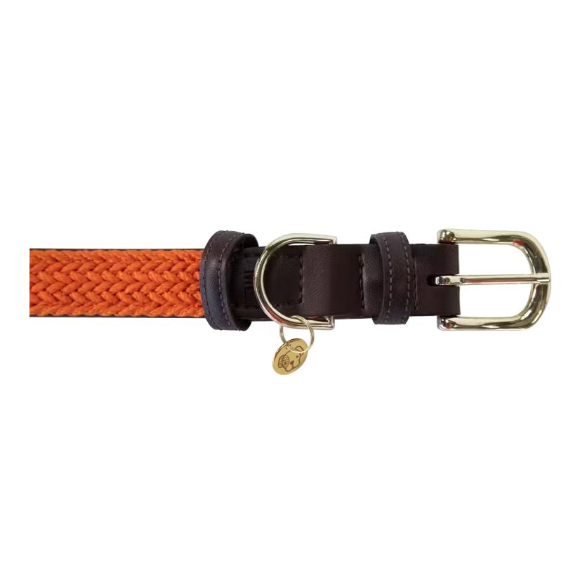 Kentucky Dogwear Collier pour chien en nylon tressé