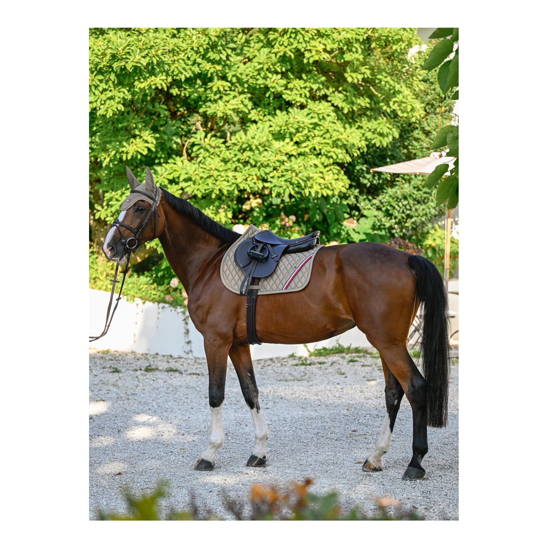 Tommy Hilfiger Equestrian 11x Tapis de selle CSO Stanford