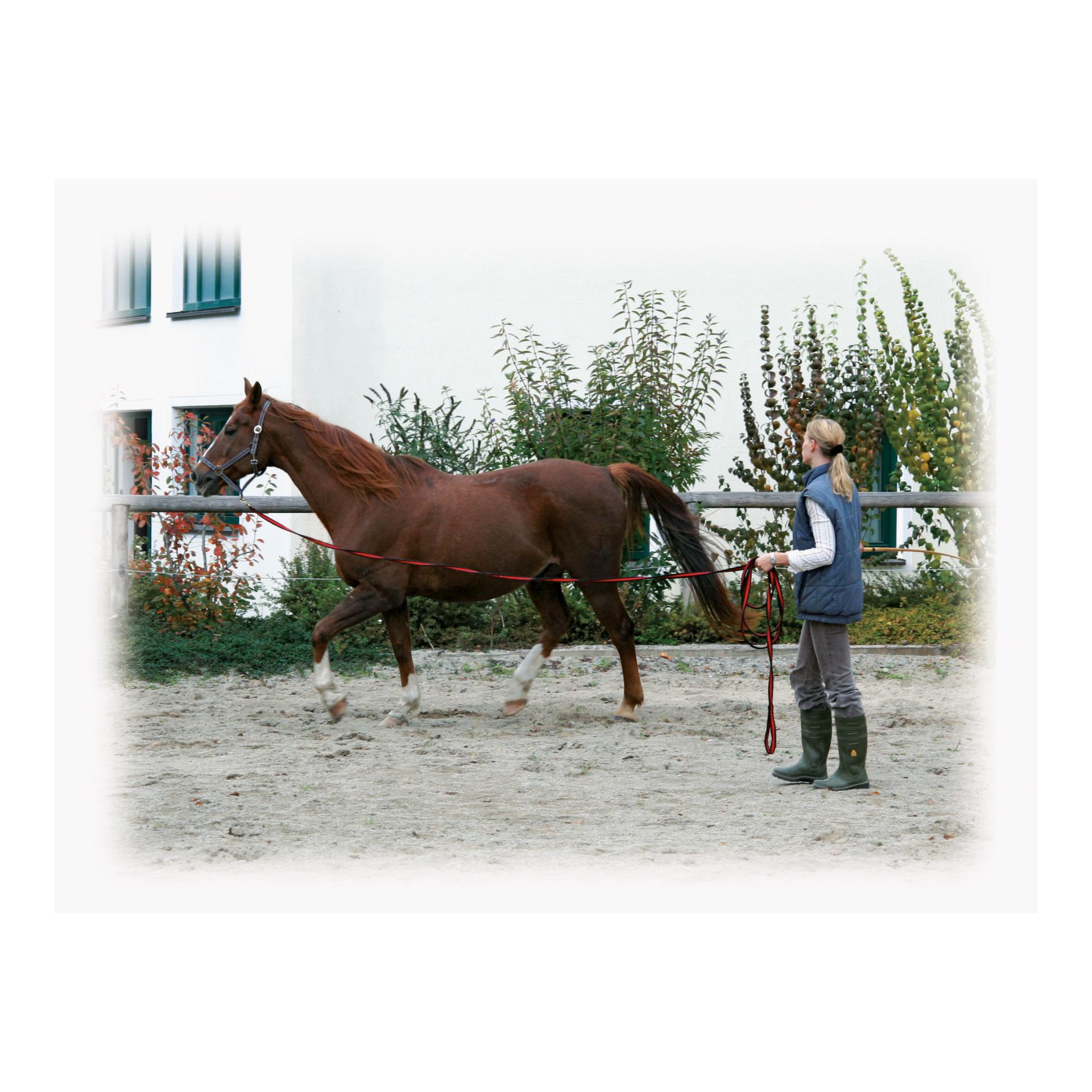 Kerbl Longierleine Softlonge 8m - schwarz/rot