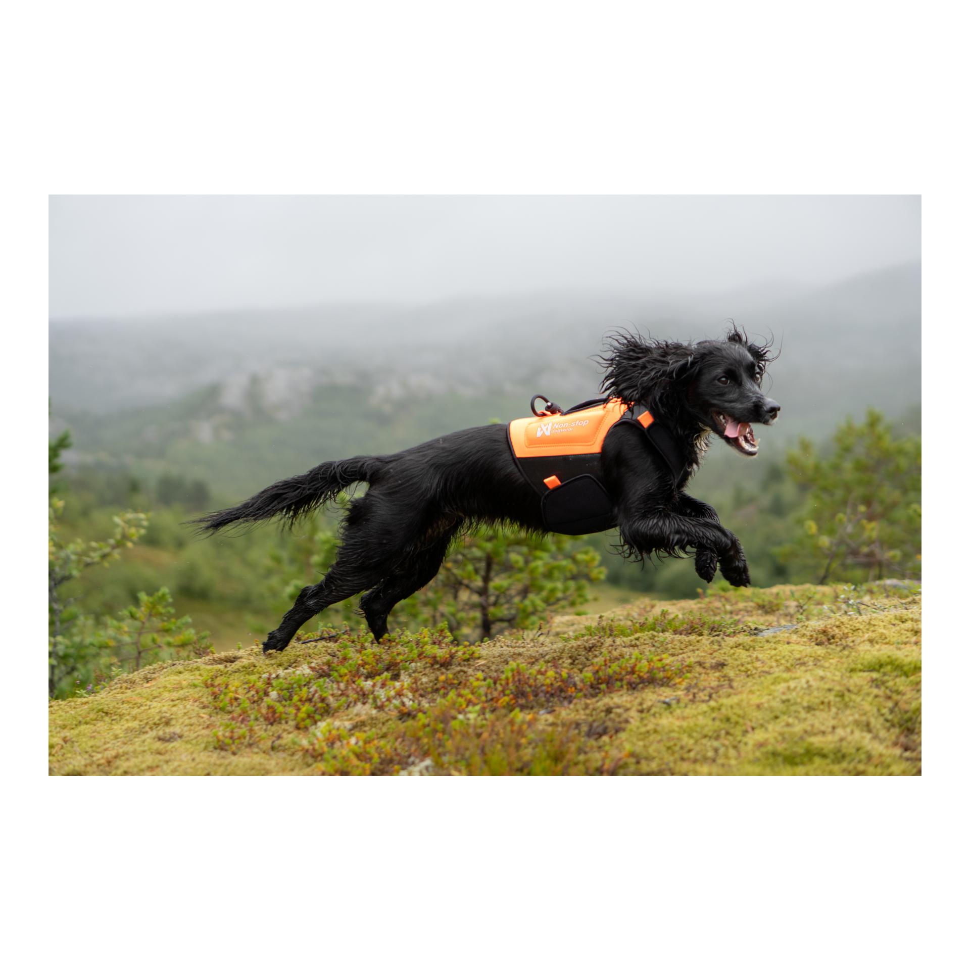 Non-stop Dogwear Protector neoprene vest