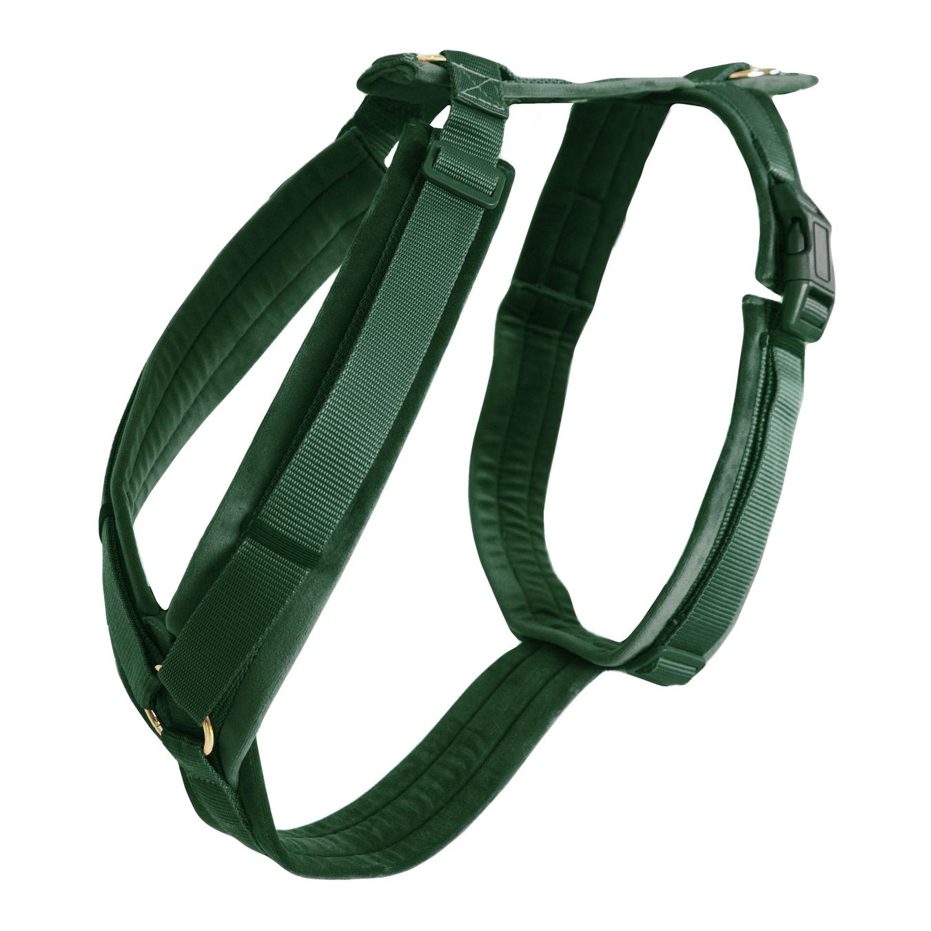 Pine Green