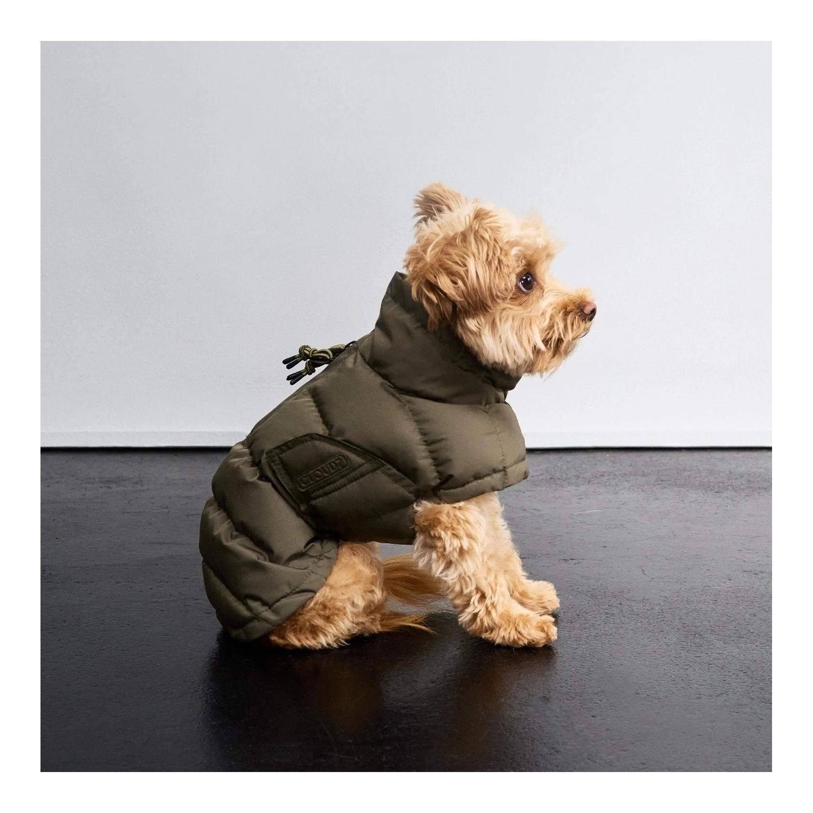 Cloud 7 Winter Hundemantel Everest Regular