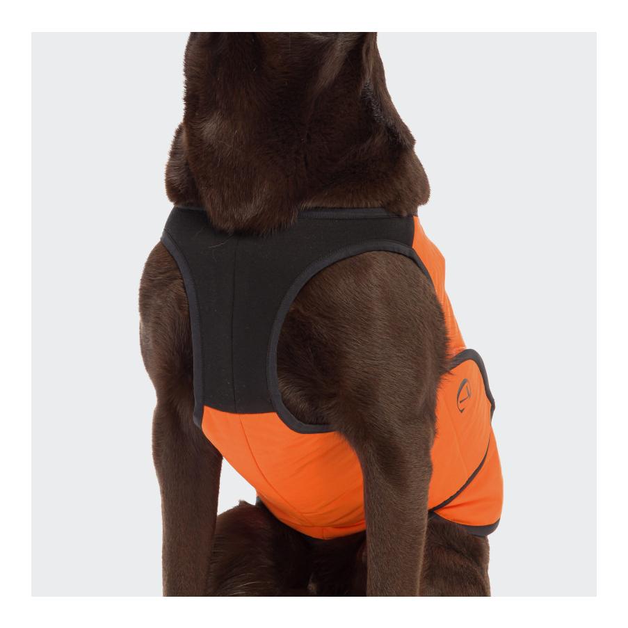 Cloud 7 Gilet de refroidissement pour chiens Iceland