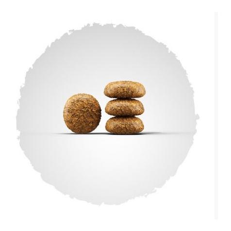 Josera Mini Adult Chicken & Rice Trockenfutter